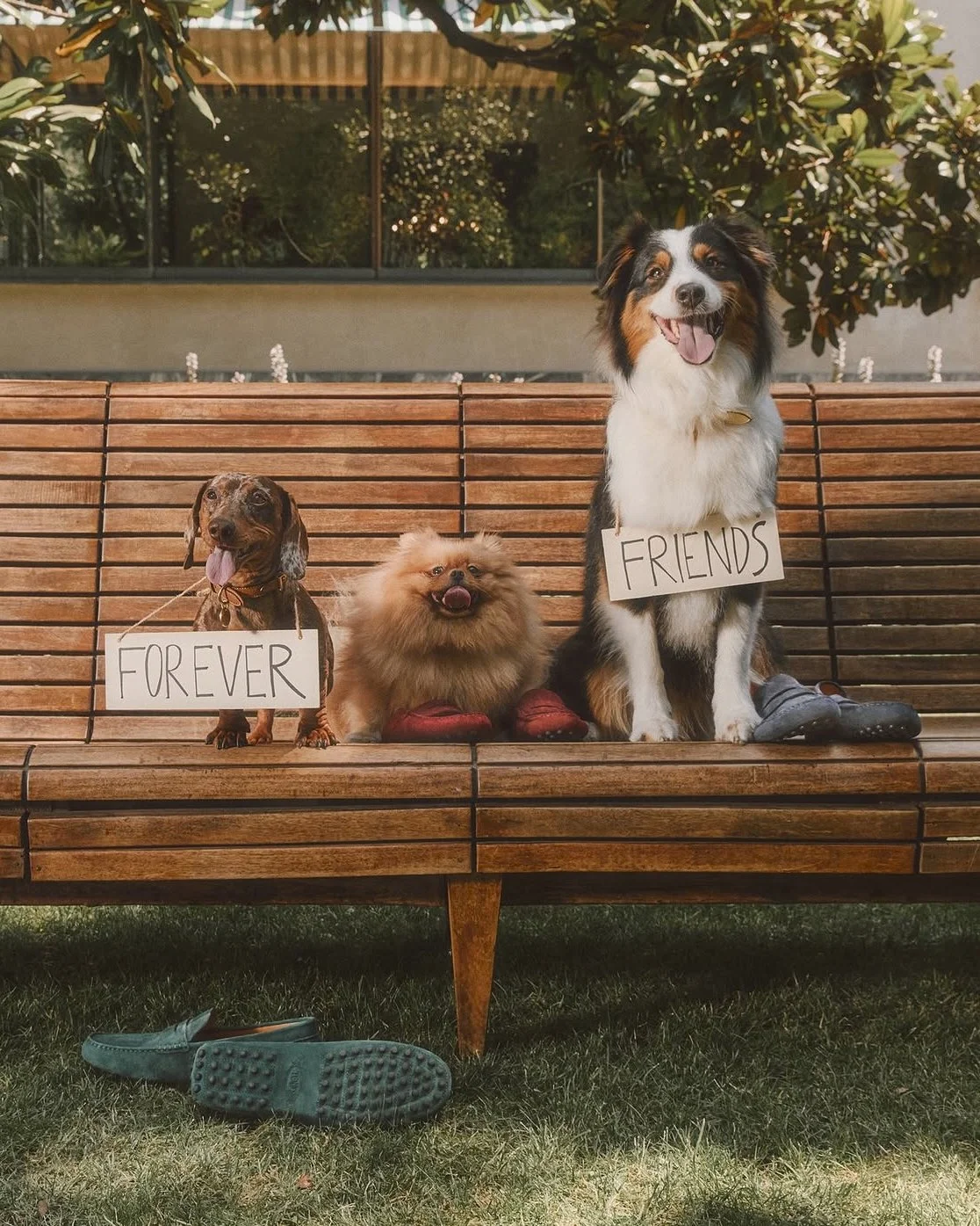TOD'S FOREVER FRIENDS - PH. RAGAZZI NEI PARAGGI