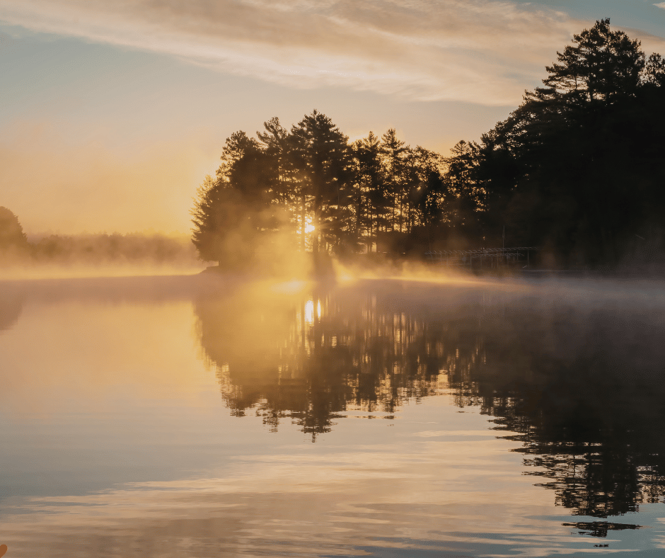 Lake with trees and sunset