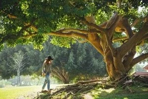 Learning mindful living, in the midst of a pandemic