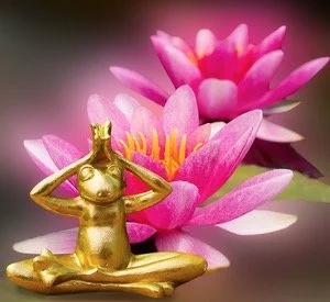 Create a Balanced Life with Meditation