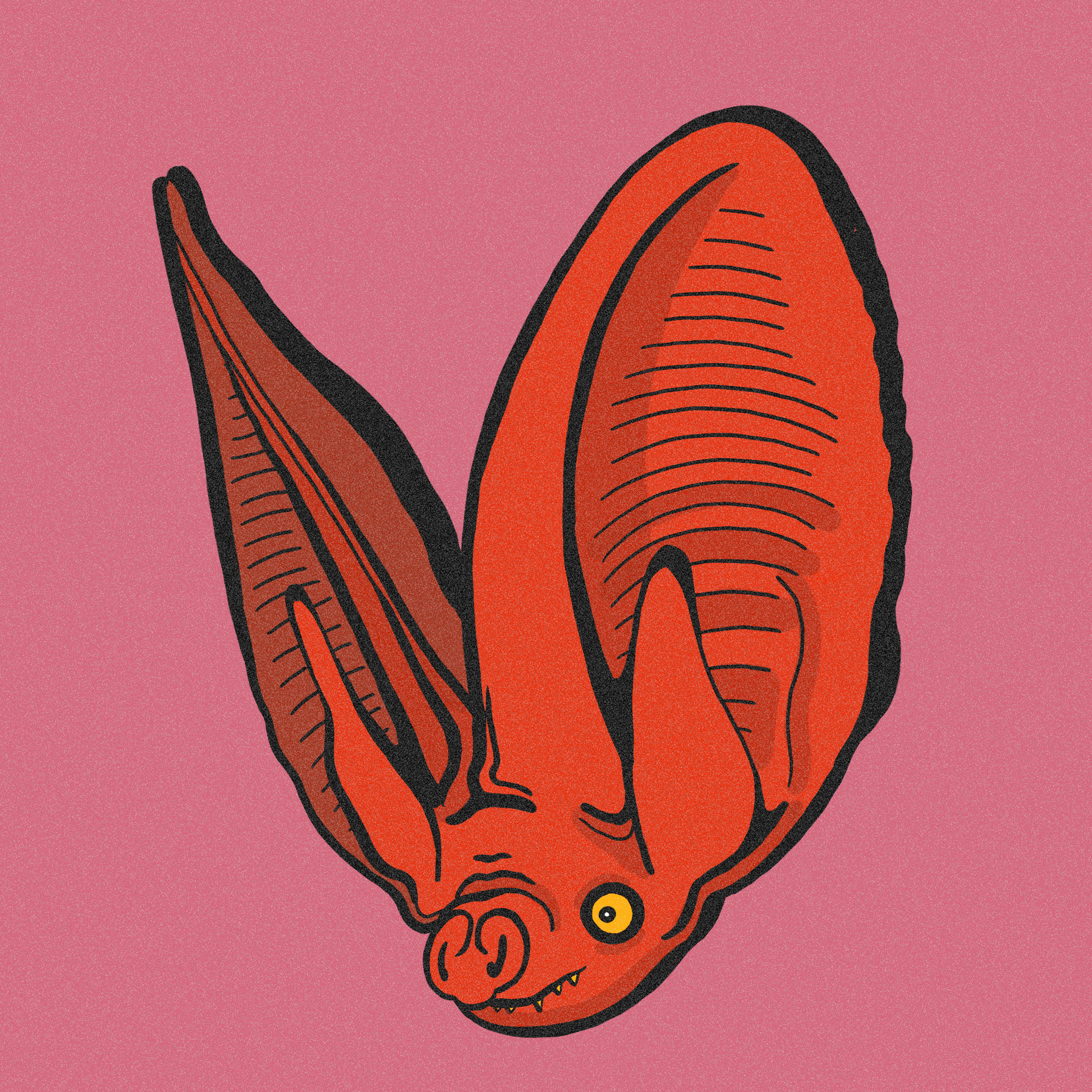 Digital illustration of a red, cartoon-style dinosaur with black outlines on a pink background.
