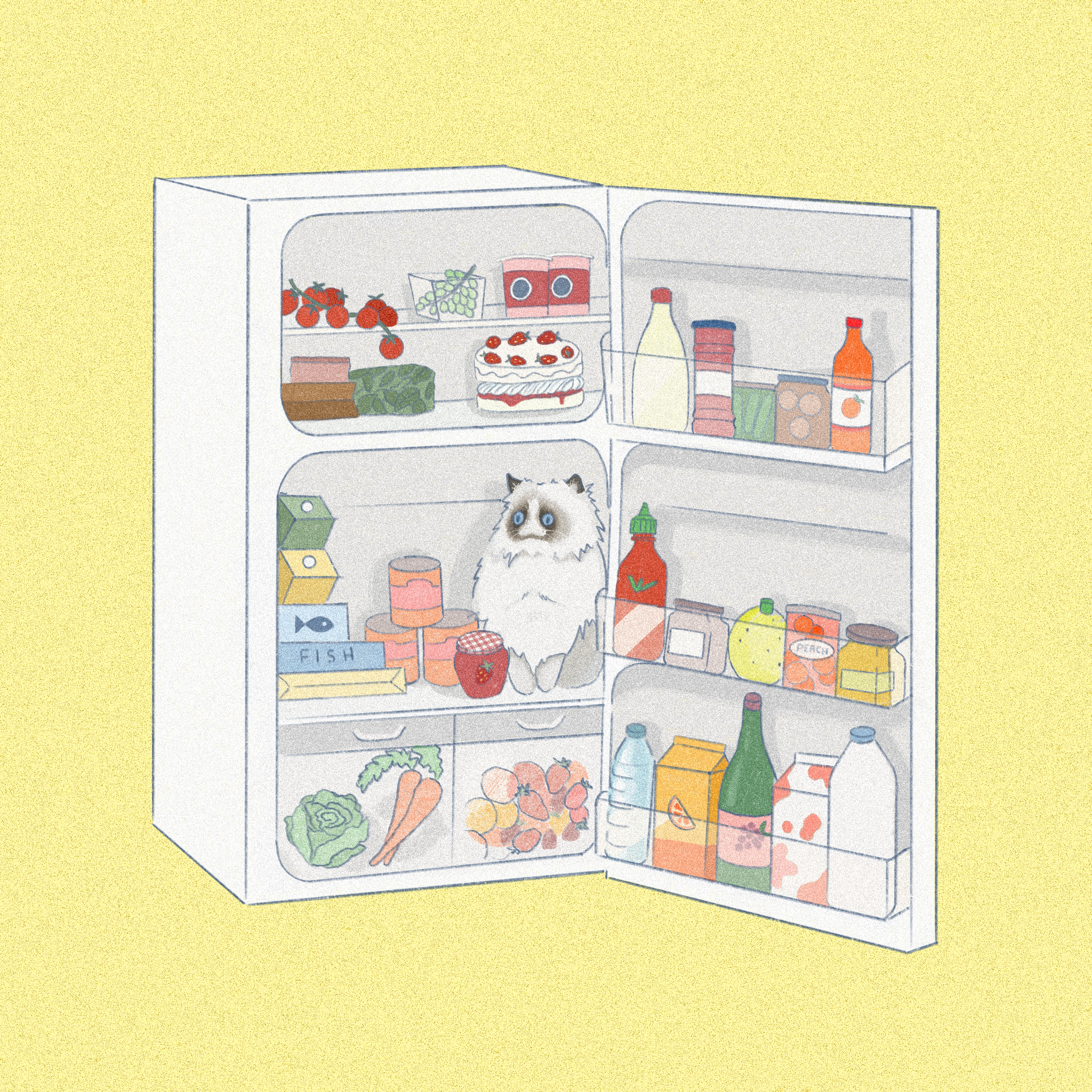 Illustration of an open fridge filled with vegetables, fruits, a cake, condiments, and bottles, with a cat peeking out from the bottom shelf.