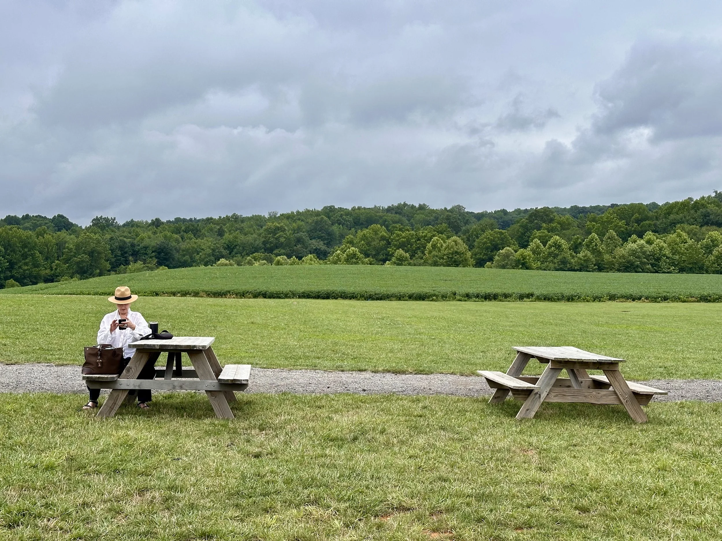 A woman sitting at a wooden picnic table outdoors, wearing a white shirt and straw hat, using her phone, with a handbag and a black item on the table, in a grassy field with a background of green trees and a cloudy sky.