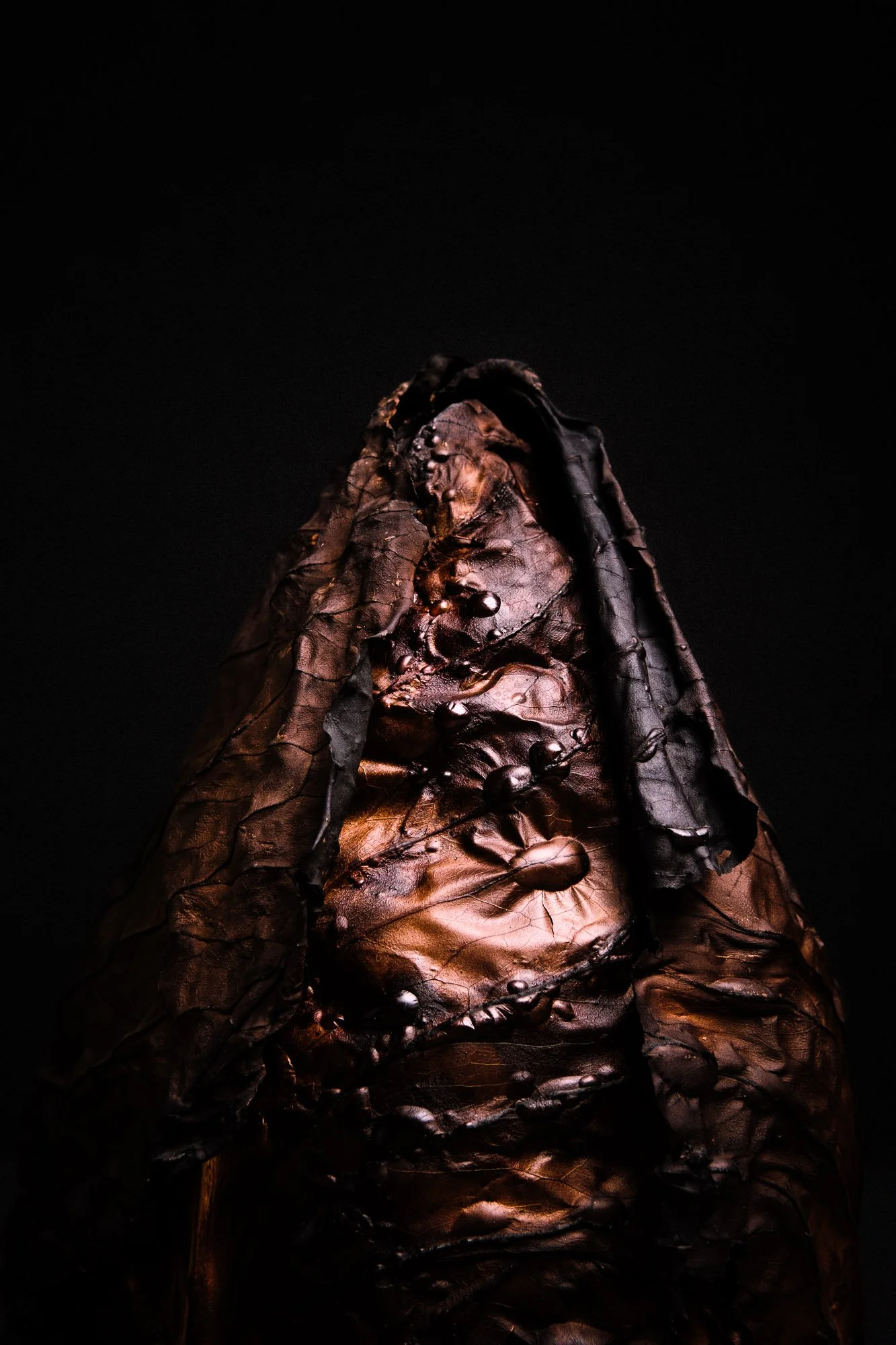 Close-up of a dark, textured rock formation against a black background.
