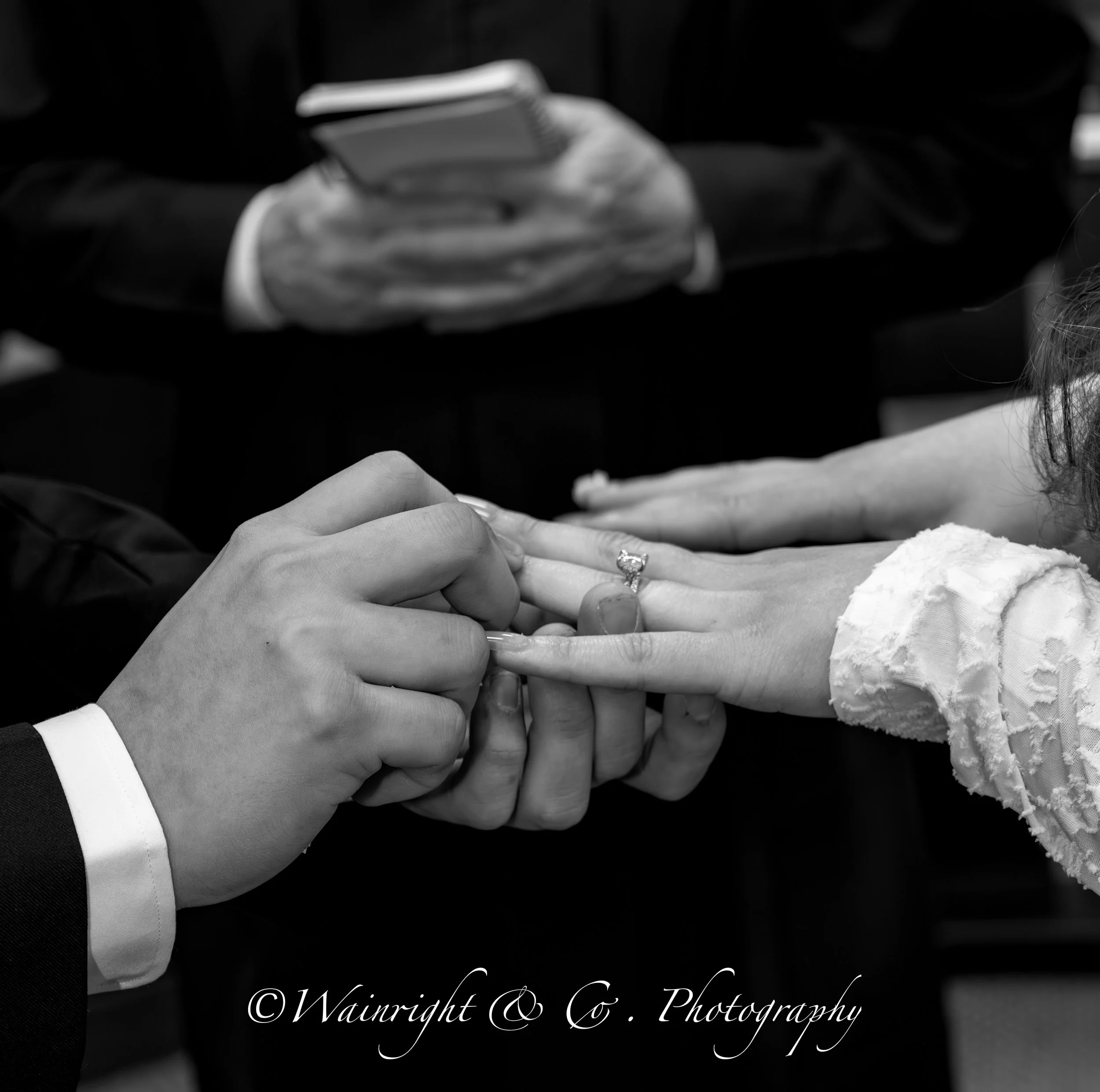 _MG_3566.jpg