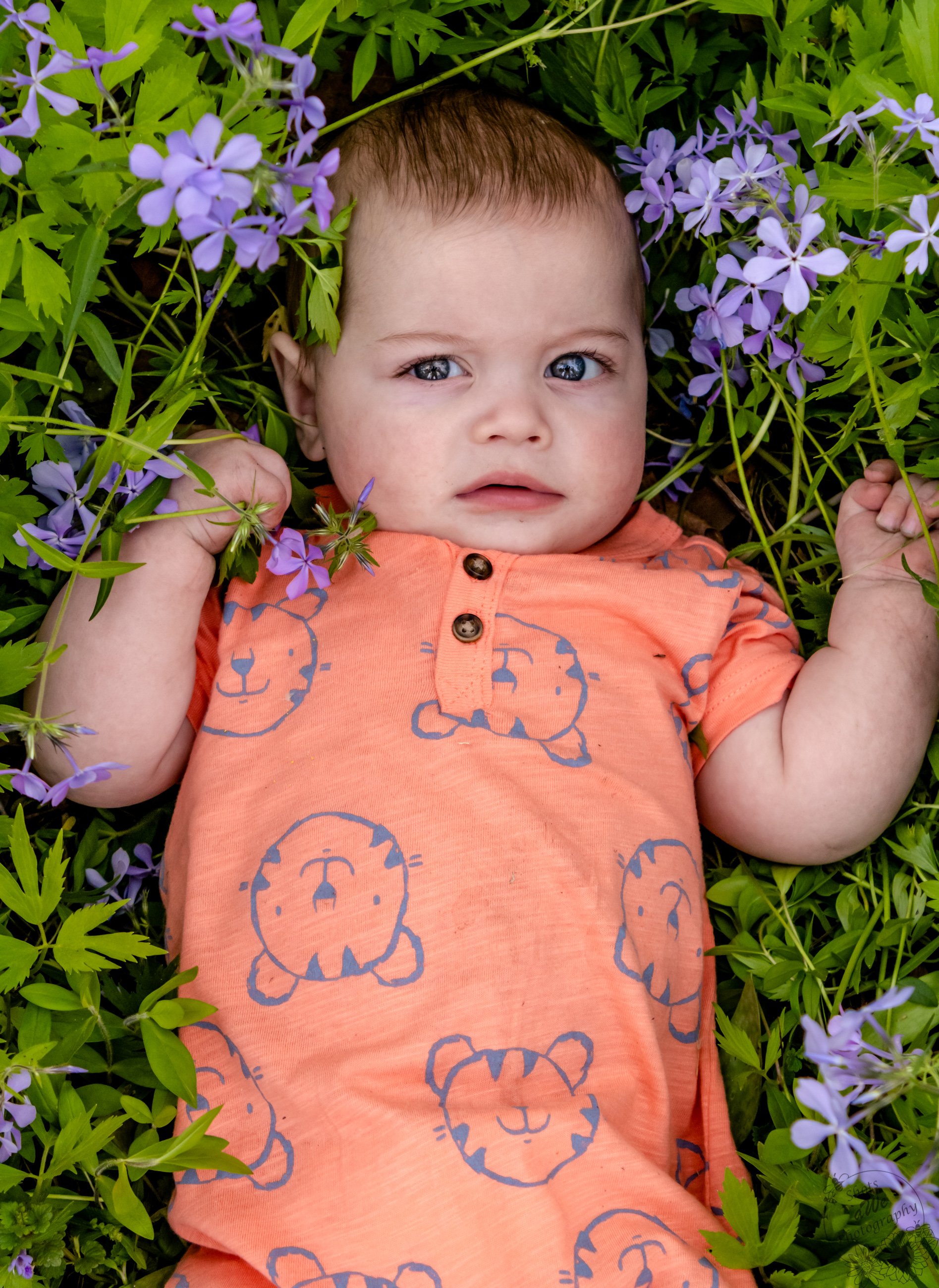 IMG_4765.jpg