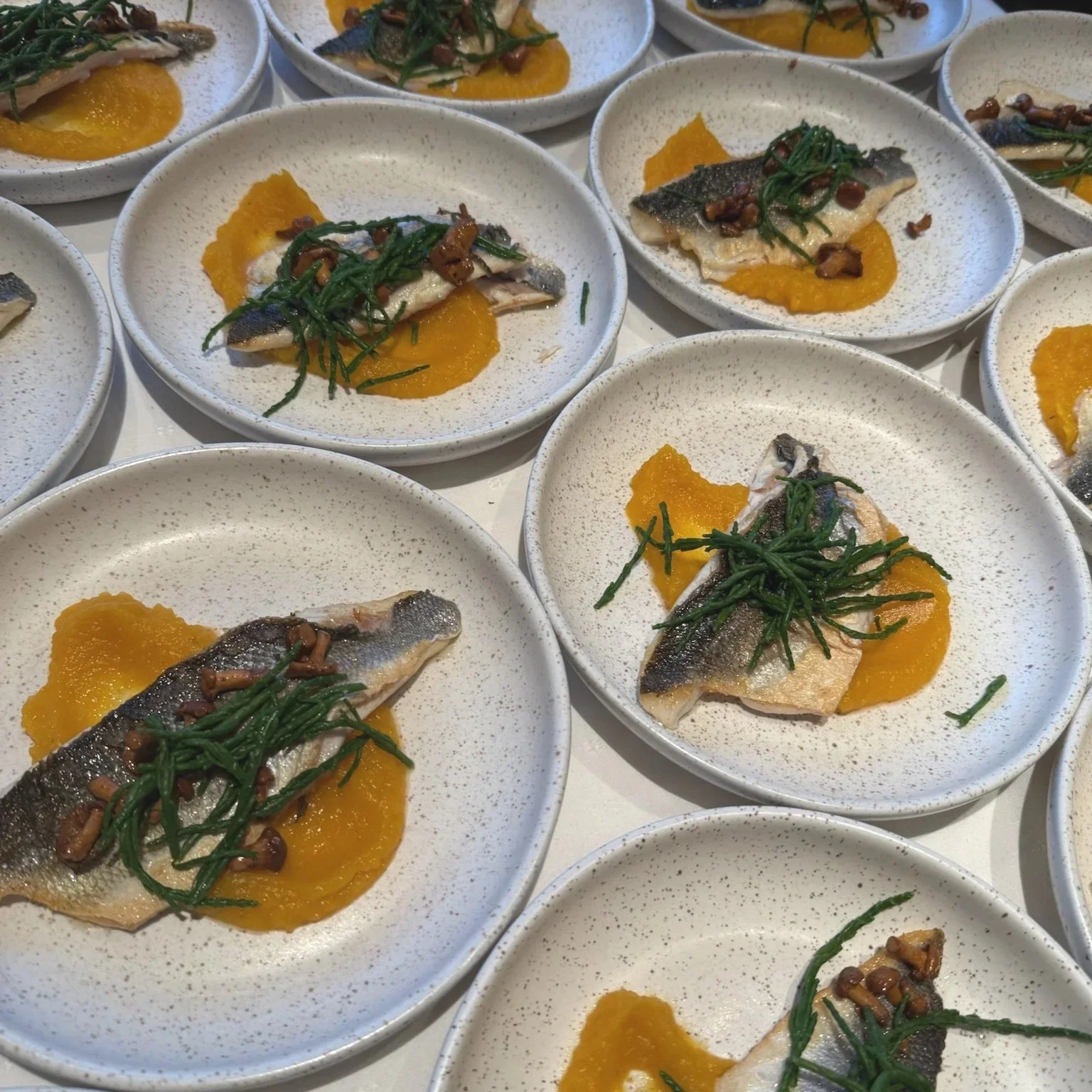 ZEEBAARS   Op de huid gebakken zeebaars op een pompoenpuree met zeekraal, cantharel en een dragonsaus