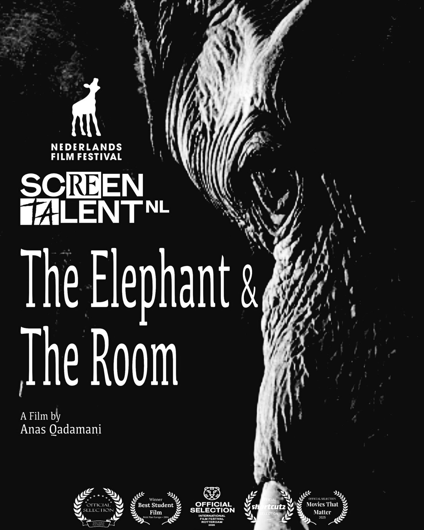 The Elephant &amp; The Room has been invited to ScreenTalentNL at the Nederlands Film Festival!
@screentalentnl @nederlandsfilmfestival 

Every year, the 7 regional Talent Hubs across the Netherlands each select one filmmaker to present their work an