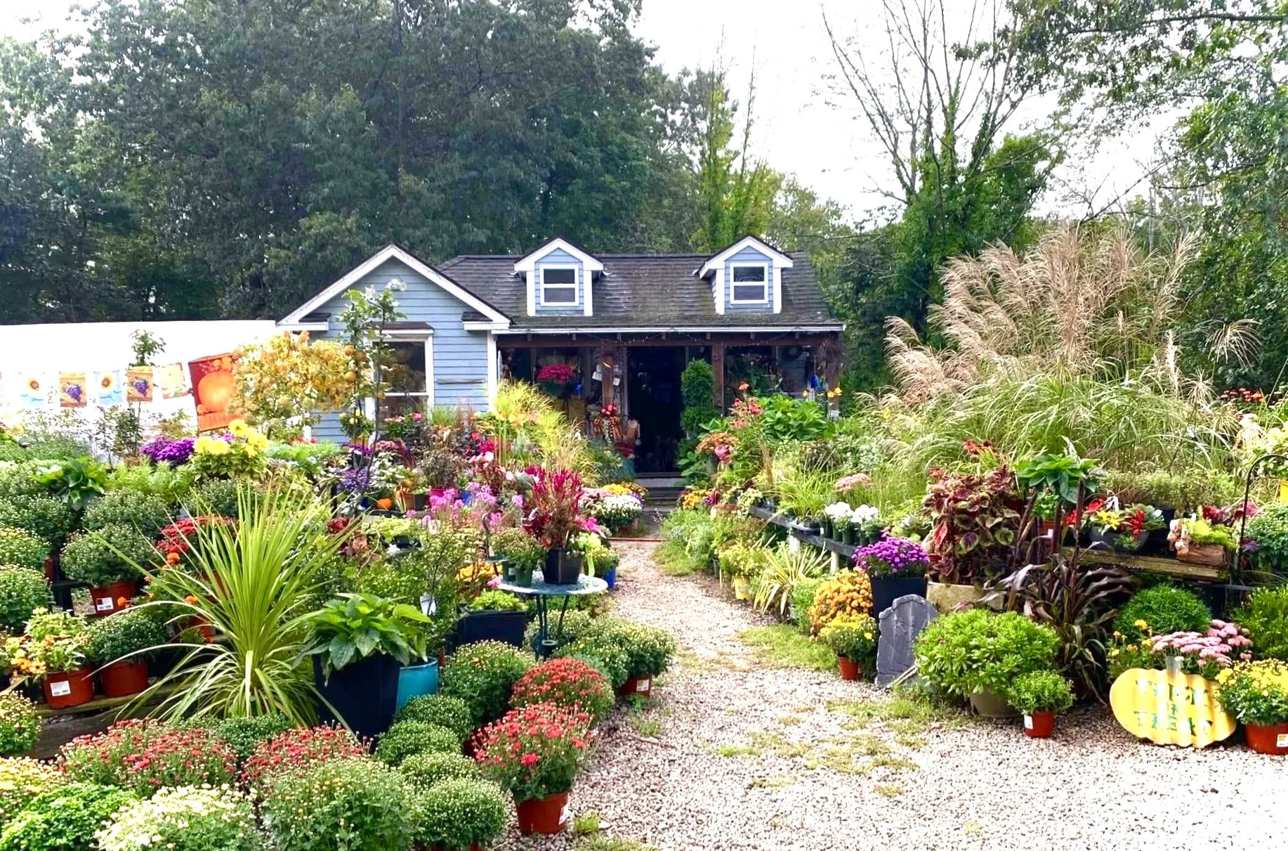 A garden center with various potted plants and flowers in front of a blue house with white trim, green trees in the background, and a gravel pathway leading to the house.