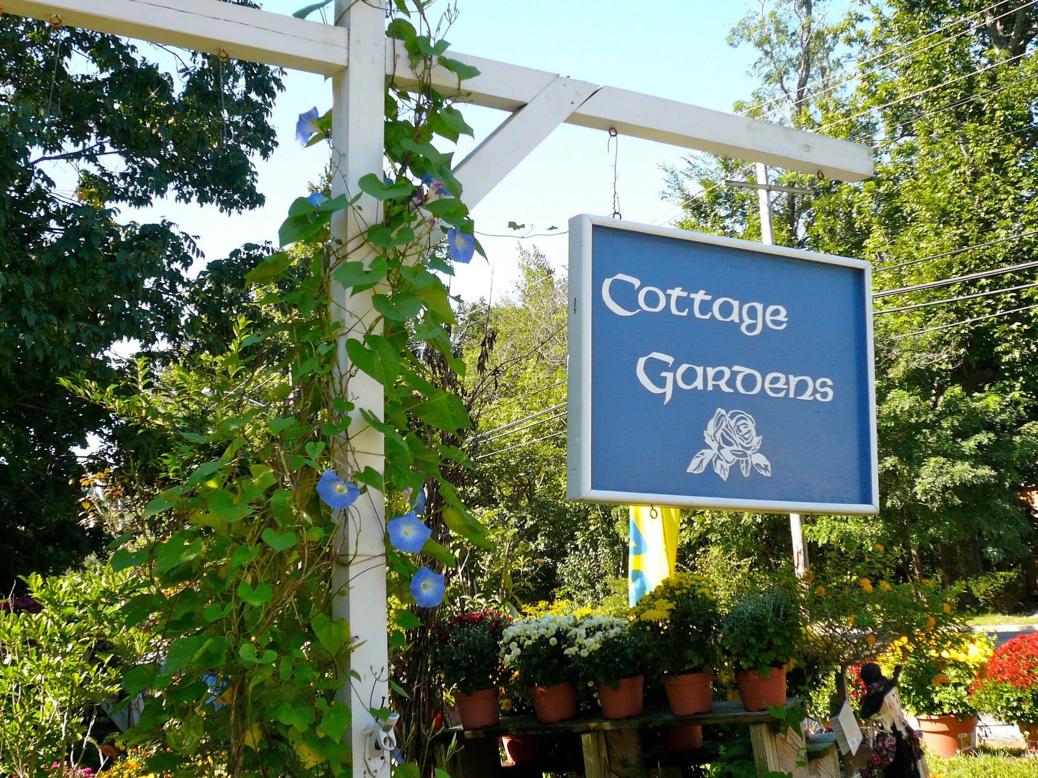 Sign for Cottage Gardens with potted flowers and climbing morning glories next to the sign.