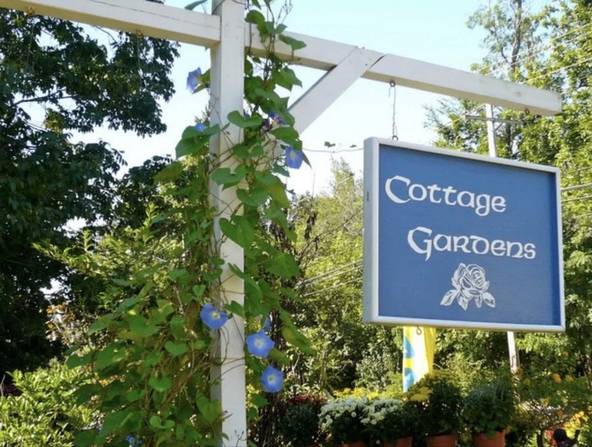 Sign that reads 'Cottage Gardens' with a flower illustration, surrounded by lush greenery and morning glories climbing a white wooden trellis.
