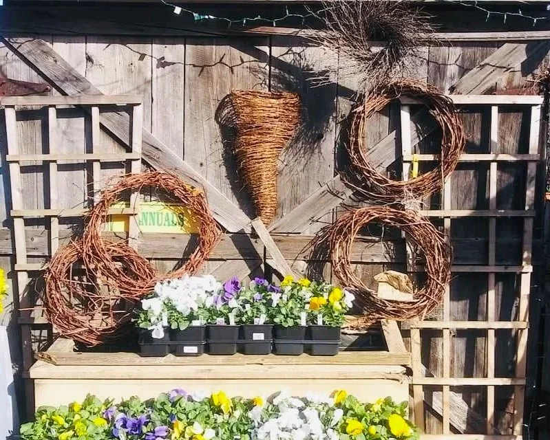 Exterior of a garden center display with flower pots filled with purple, yellow, and white flowers, surrounded by grapevine wreaths, a large carrot-shaped decoration, and rustic wooden fencing.