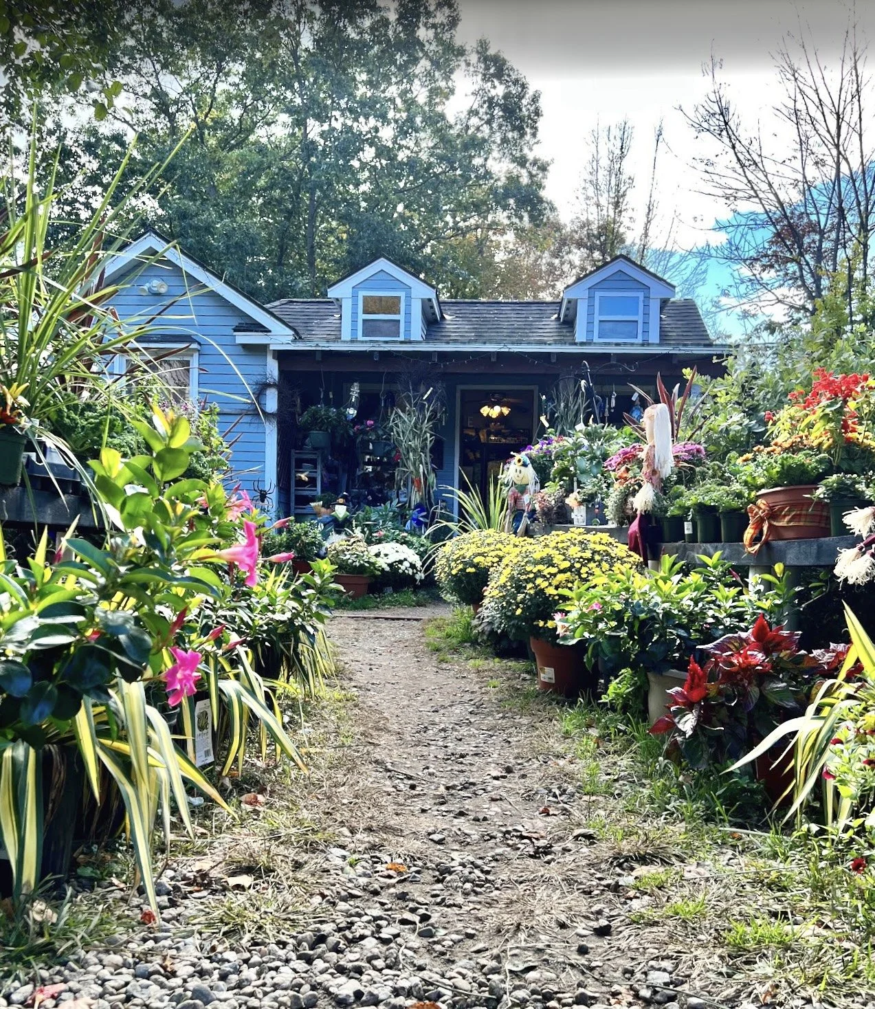 A small house painted blue with white trim, surrounded by potted plants and flowers, with a dirt path leading up to the entrance, and trees in the background.
