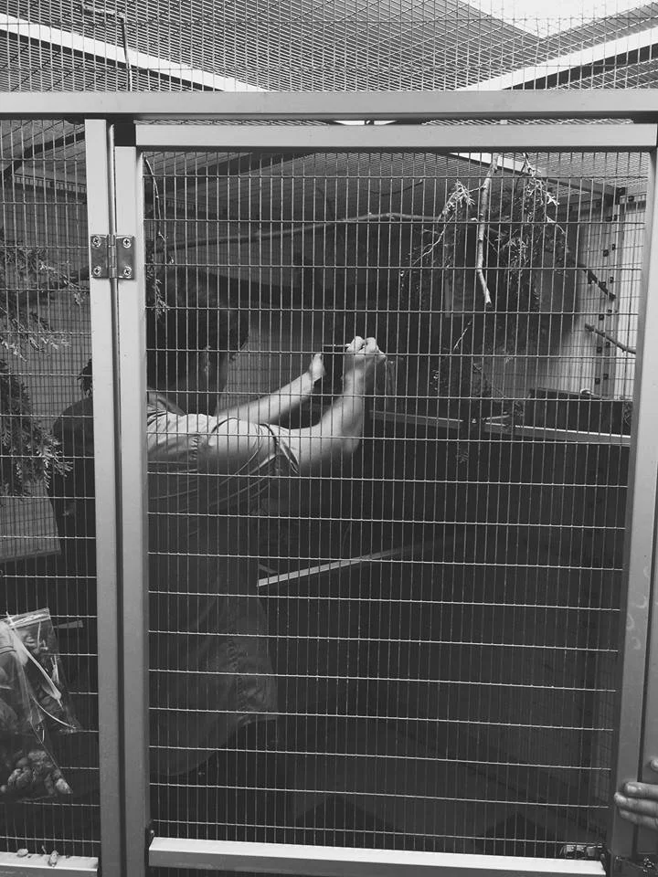 john in cage shoot.jpg