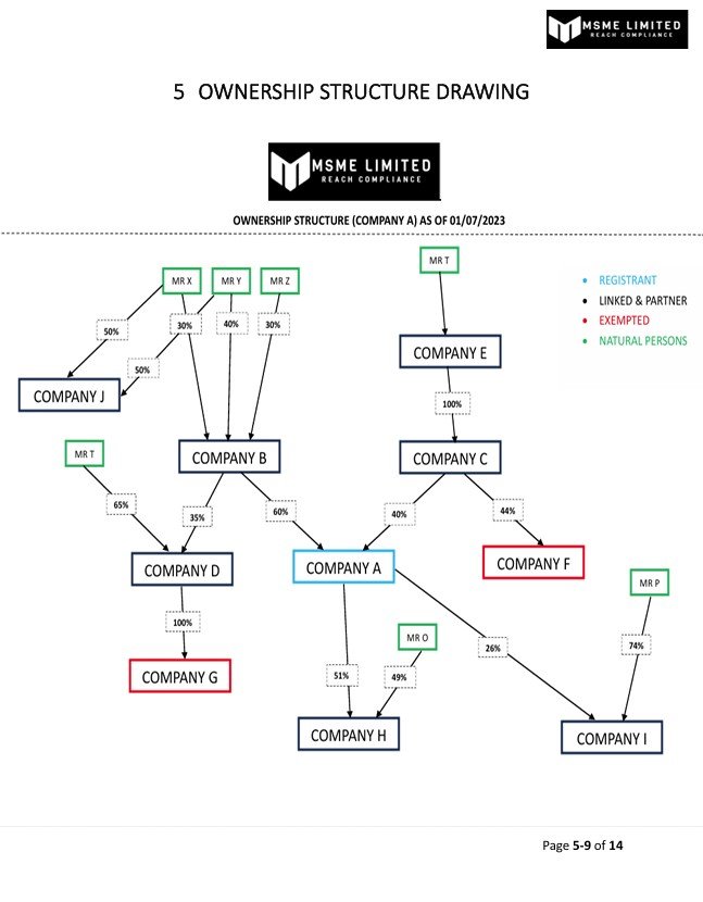 Ownership structure drawing showing relationships among companies with color-coded labels indicating registrant, linked & partner, exempted, and natural persons. Includes company names, ownership percentages, and connected lines.