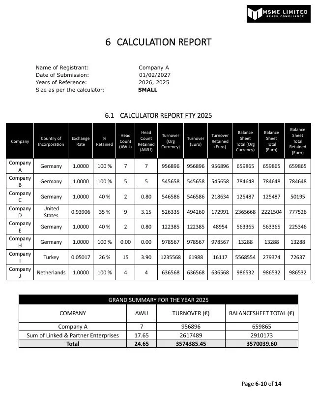 Calculation report titled '6 CALCULATION REPORT' with company details, country, exchange rate, and financial data in tabular format; includes grand summary for 2025 at the bottom.