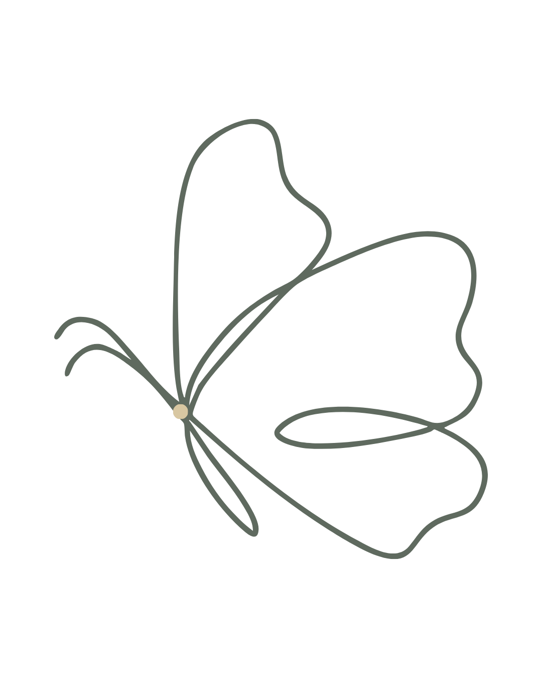 Illustration stylisée d'un papillon avec des ailes en fil de fer, dessin minimaliste sur fond noir.