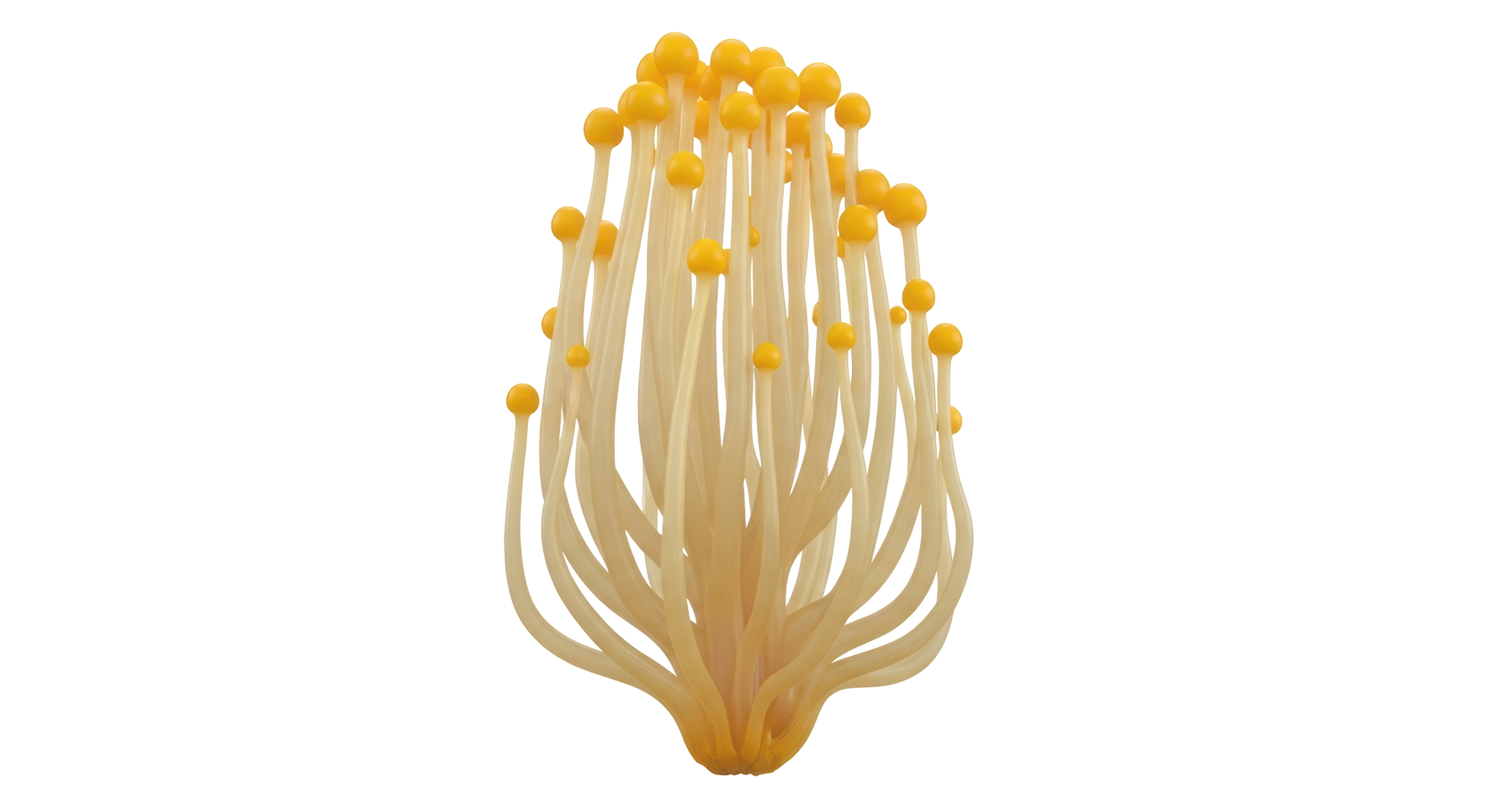 Enoki mushrooms with long, thin white stems and small yellow caps, clustered together.