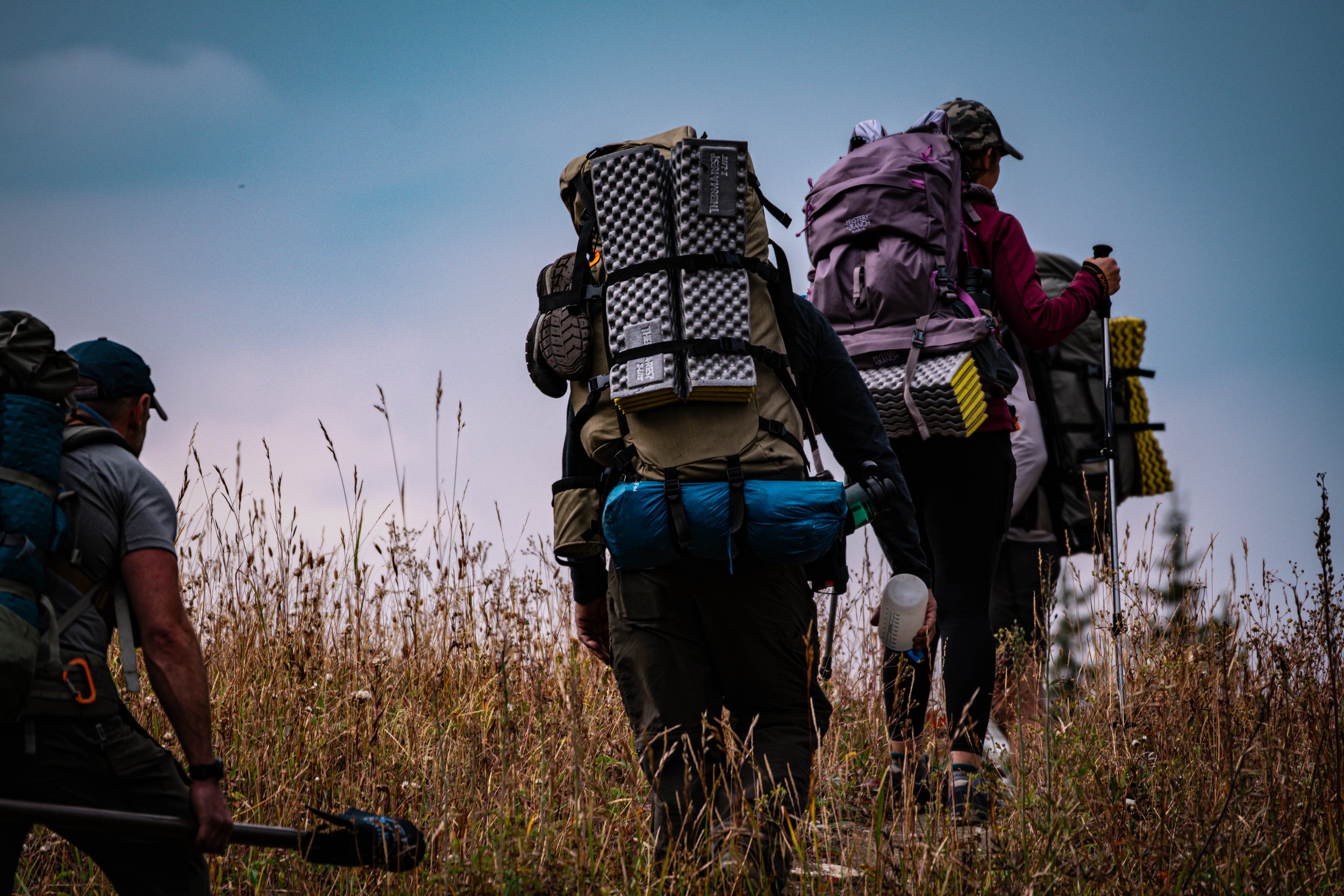 Group of people hiking through tall grass at dusk, carrying backpacks and gear.