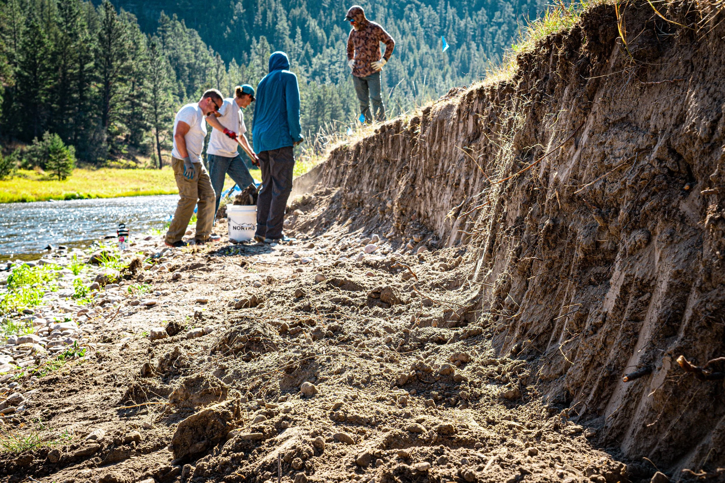 Four people working on a riverbank, with a large exposed soil and rock face behind them, surrounded by a forested area.
