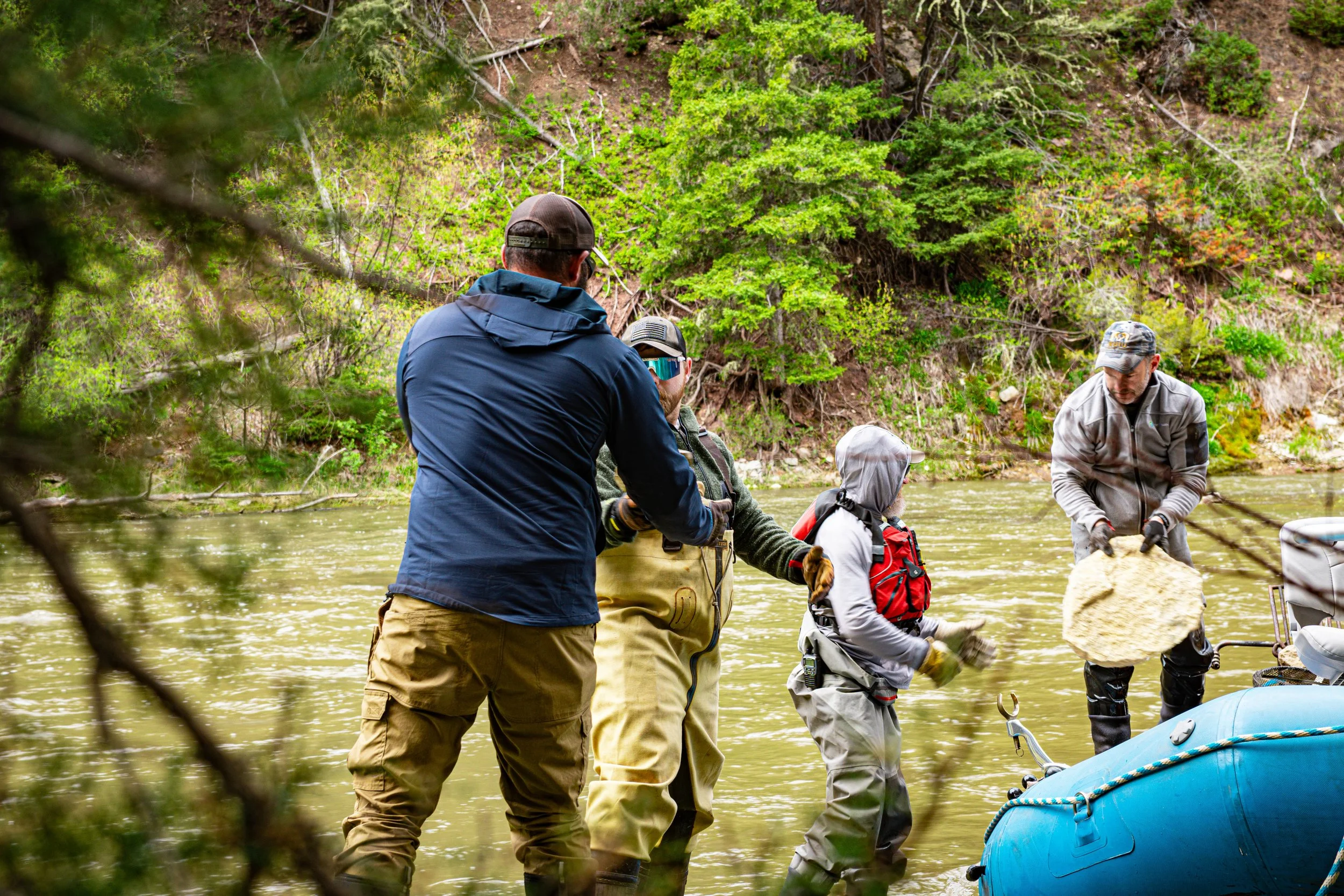 A group of people fishing in a river in a forested area, some in waders and one with a fishing rod, with trees and green foliage in the background.