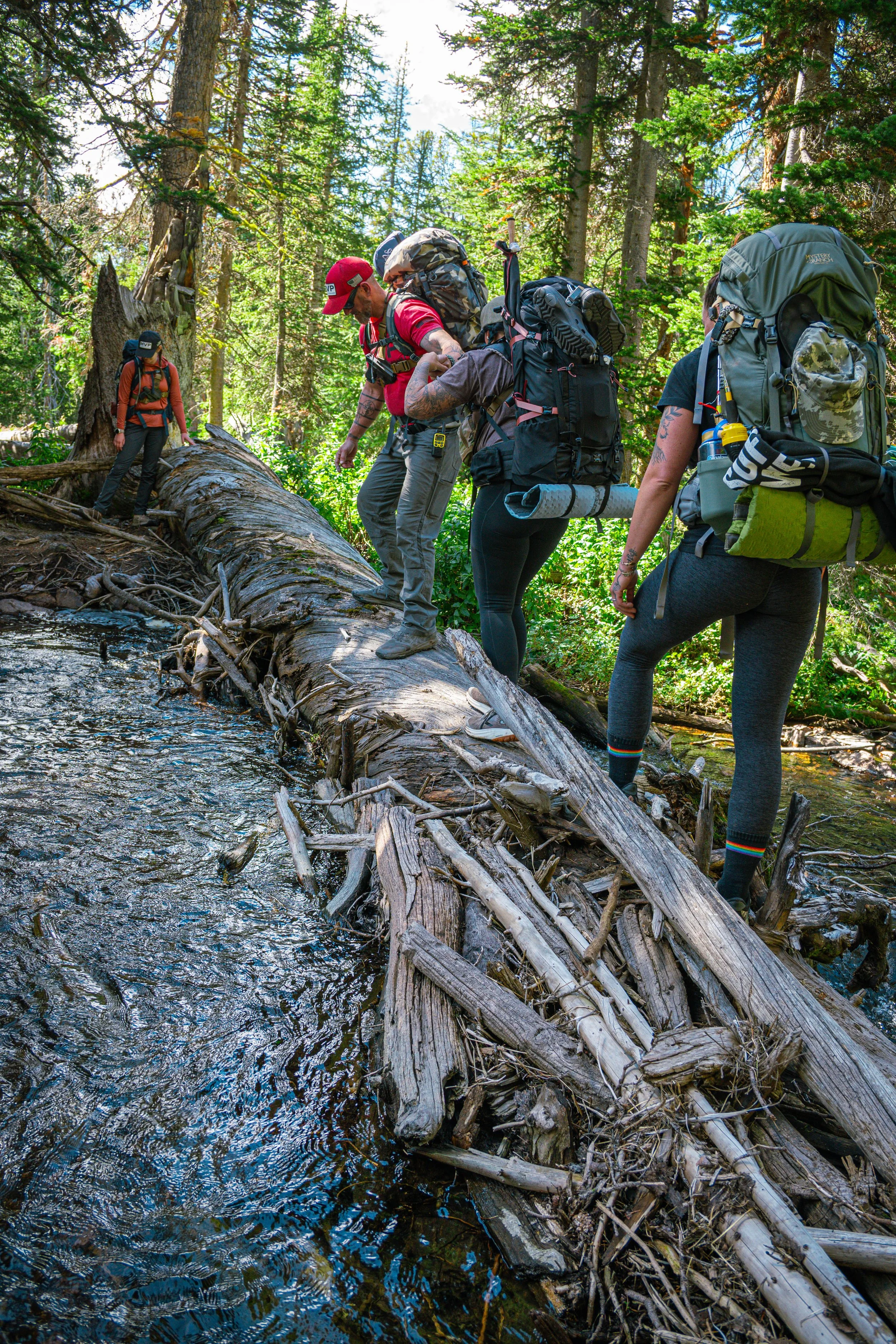 Hikers crossing a fallen log over a mountain stream in a dense forest with tall trees and sunlight filtering through the leaves.