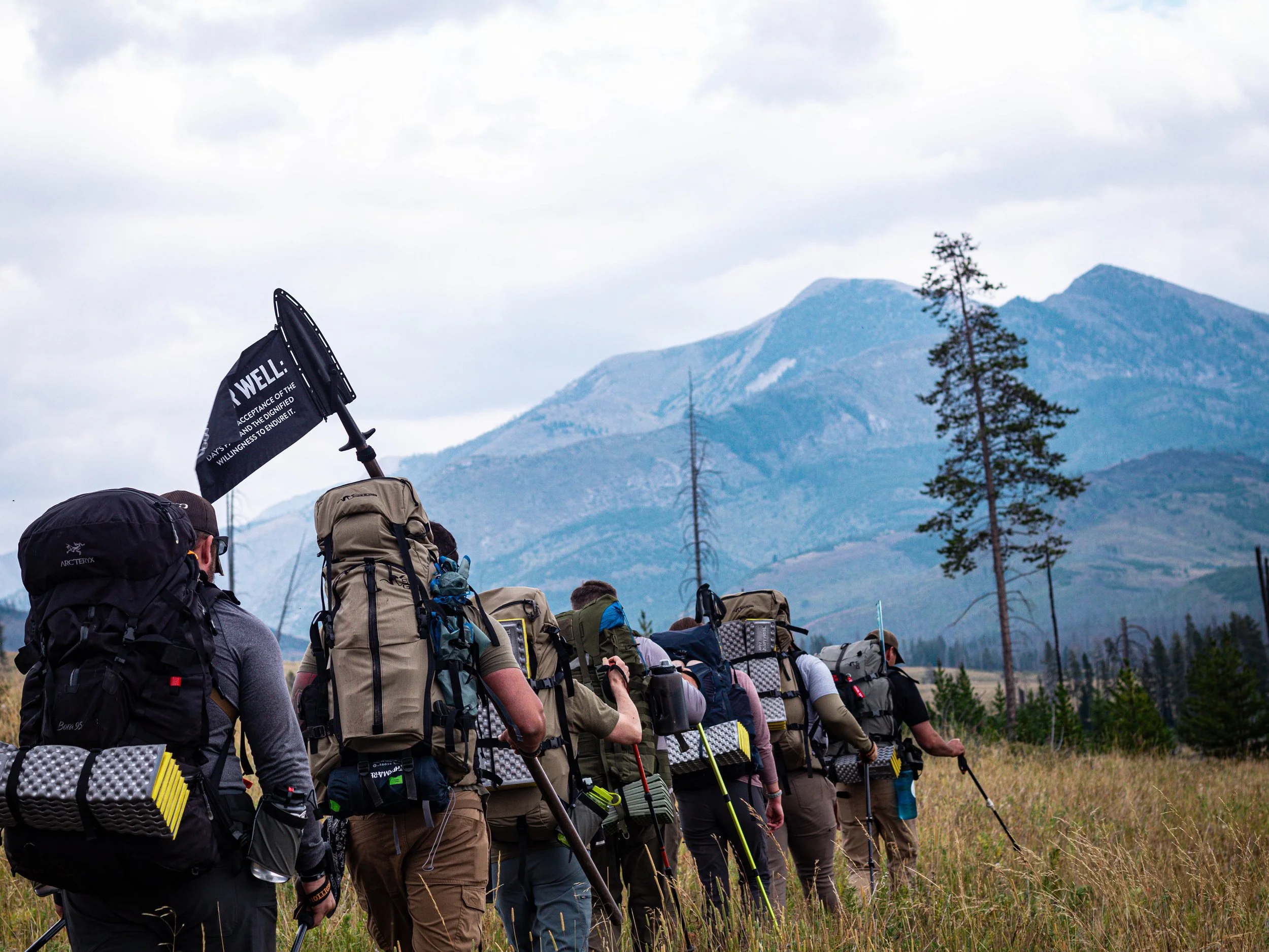 Group of hikers walking in a line through a grassy field with mountains and trees in the background, dressed in outdoor gear with backpacks and trekking poles.