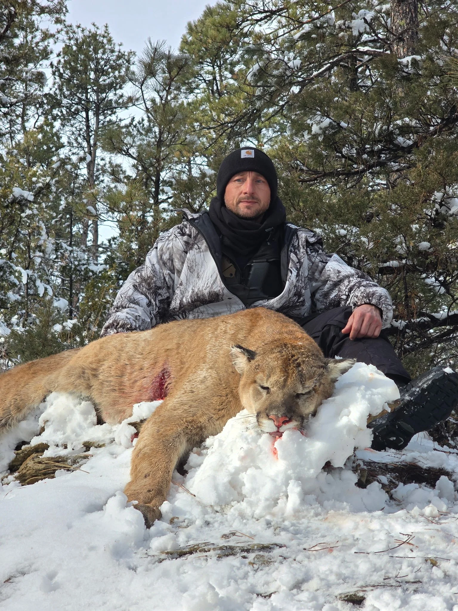 A man in winter clothing sitting in the snow next to a large, dead animal with a visible wound. There are snow-covered trees in the background.