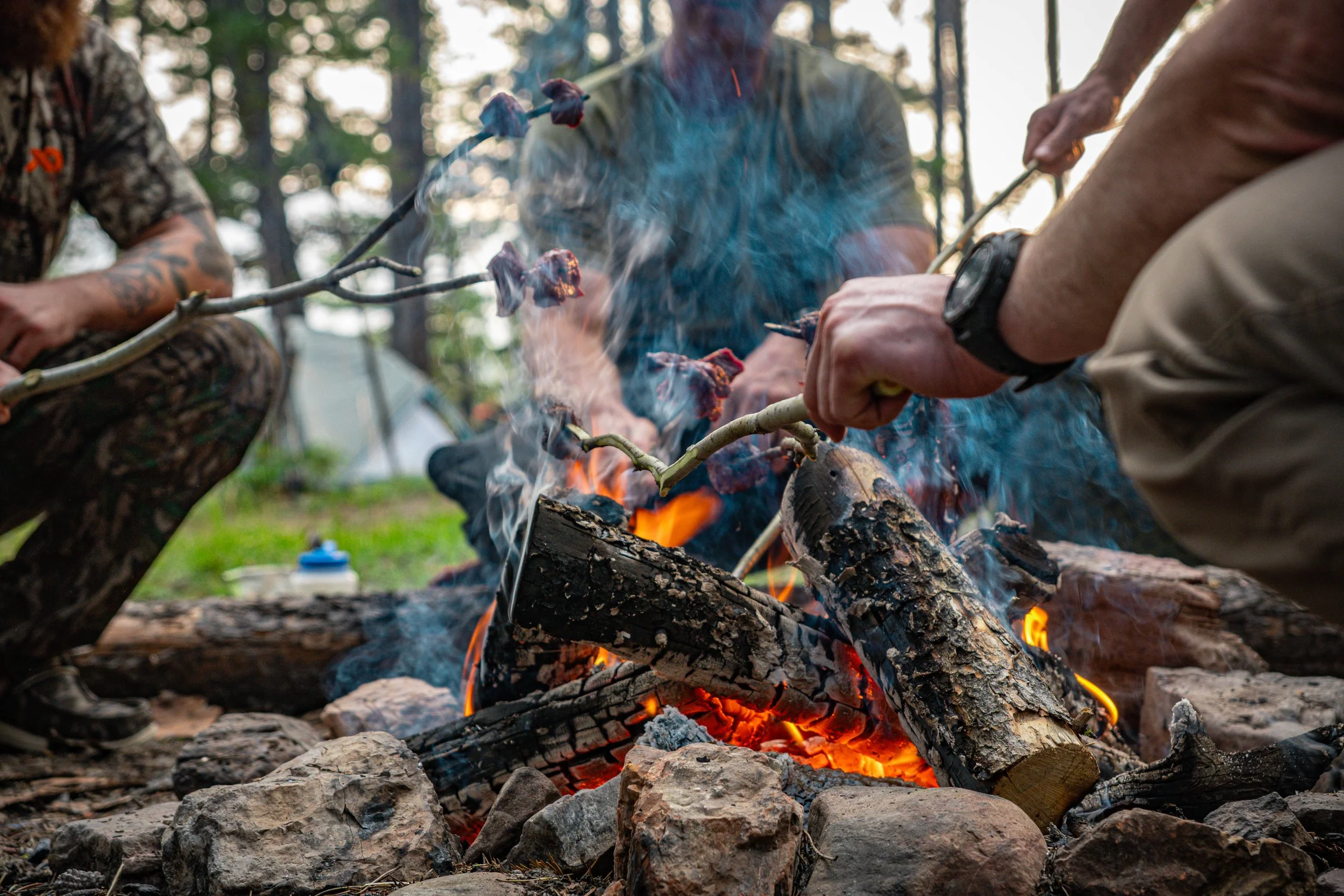 People sitting around a campfire roasting marshmallows in a forest setting.