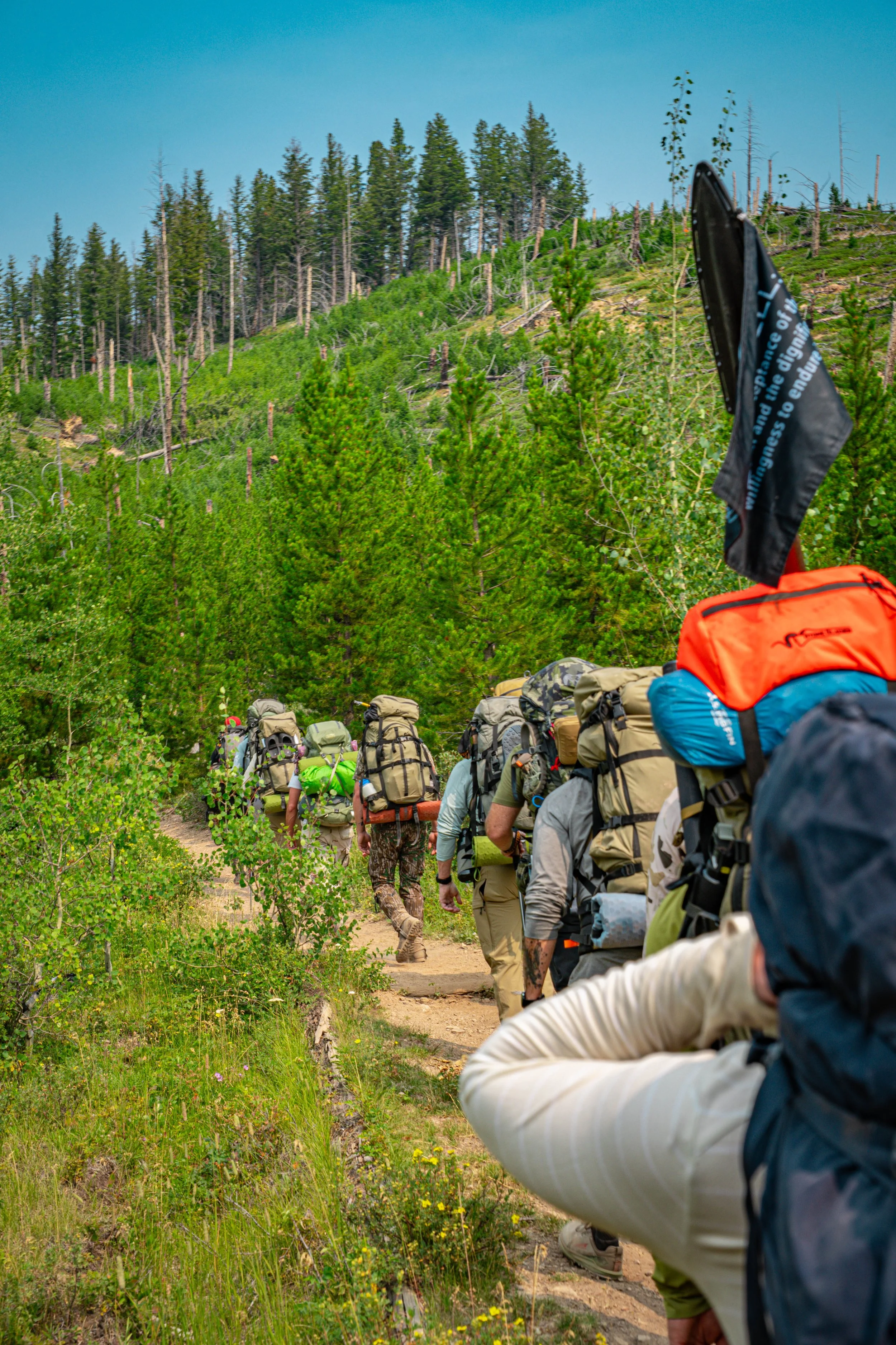 A group of hikers walking along a forest trail surrounded by green trees and shrubs under a clear blue sky.
