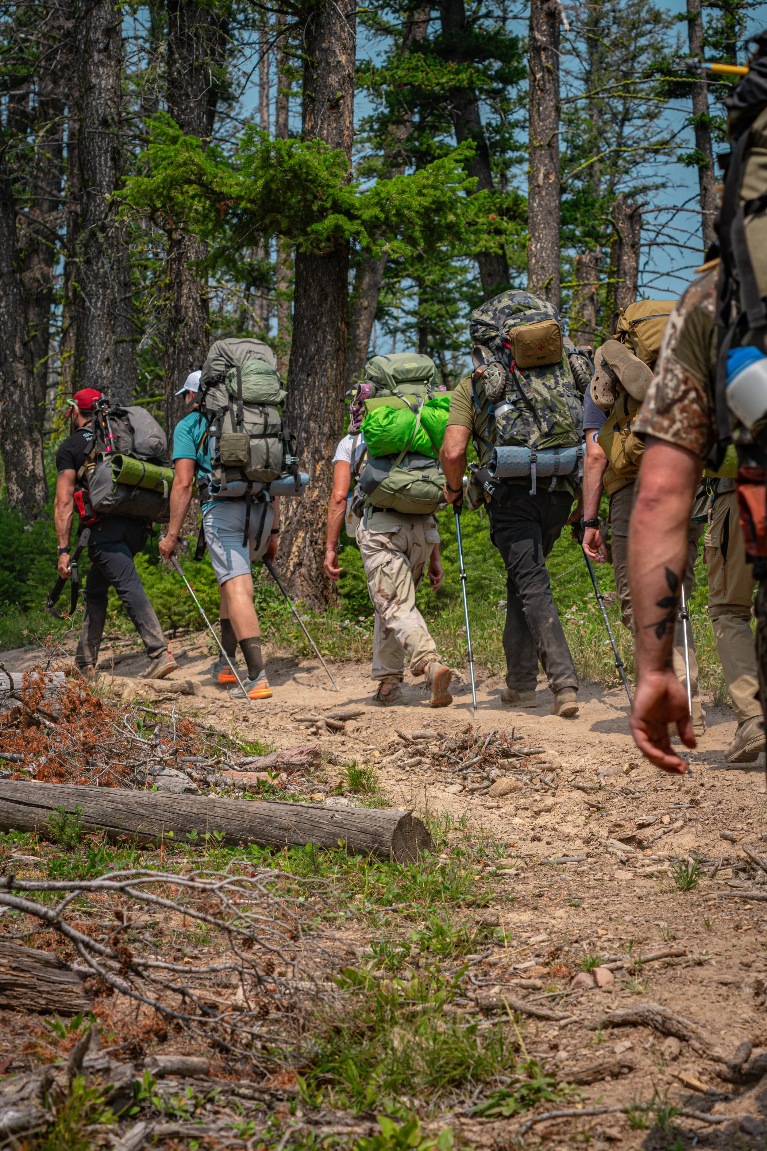 veterans hiking on a dirt moutain path. you can see heavy packs and walking sticks and forrest around them