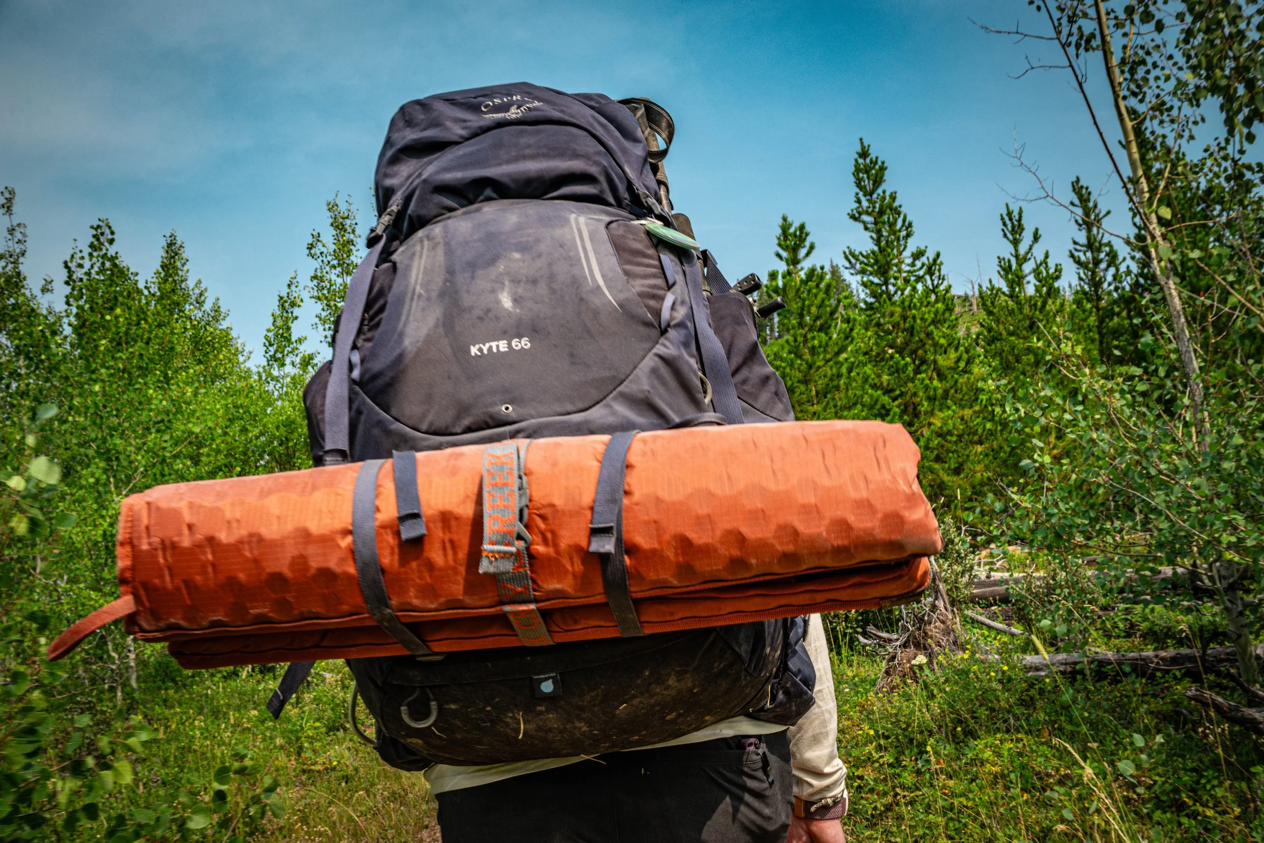 A person carrying a large backpack and an orange sleeping pad on a hiking trail surrounded by green trees and blue sky.