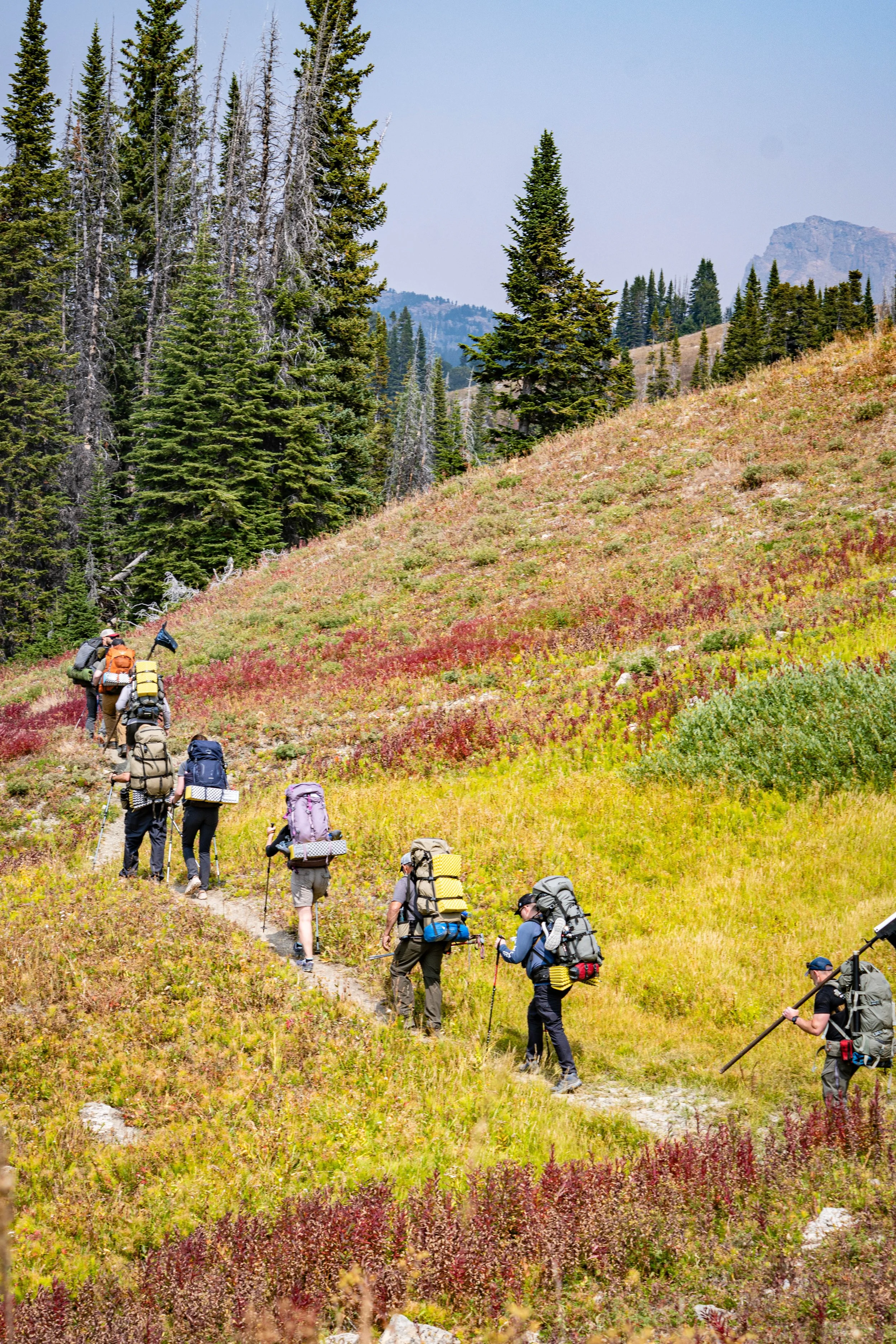 A group of veteran hikers with backpacks walking in a single file line on a trail through a colorful autumn forest, with tall pine trees and mountains in the background.