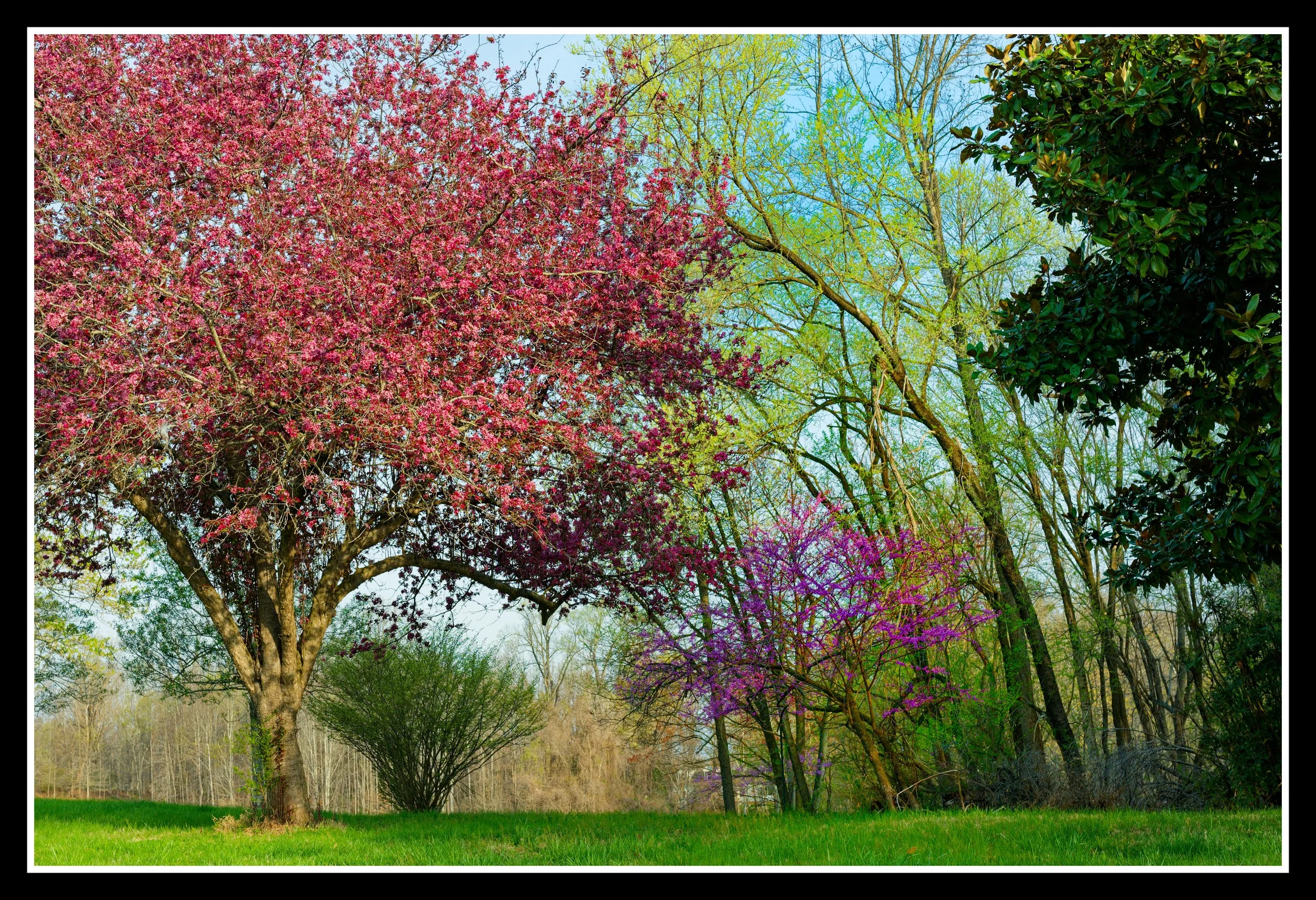 DSC_1227_DxO.jpg