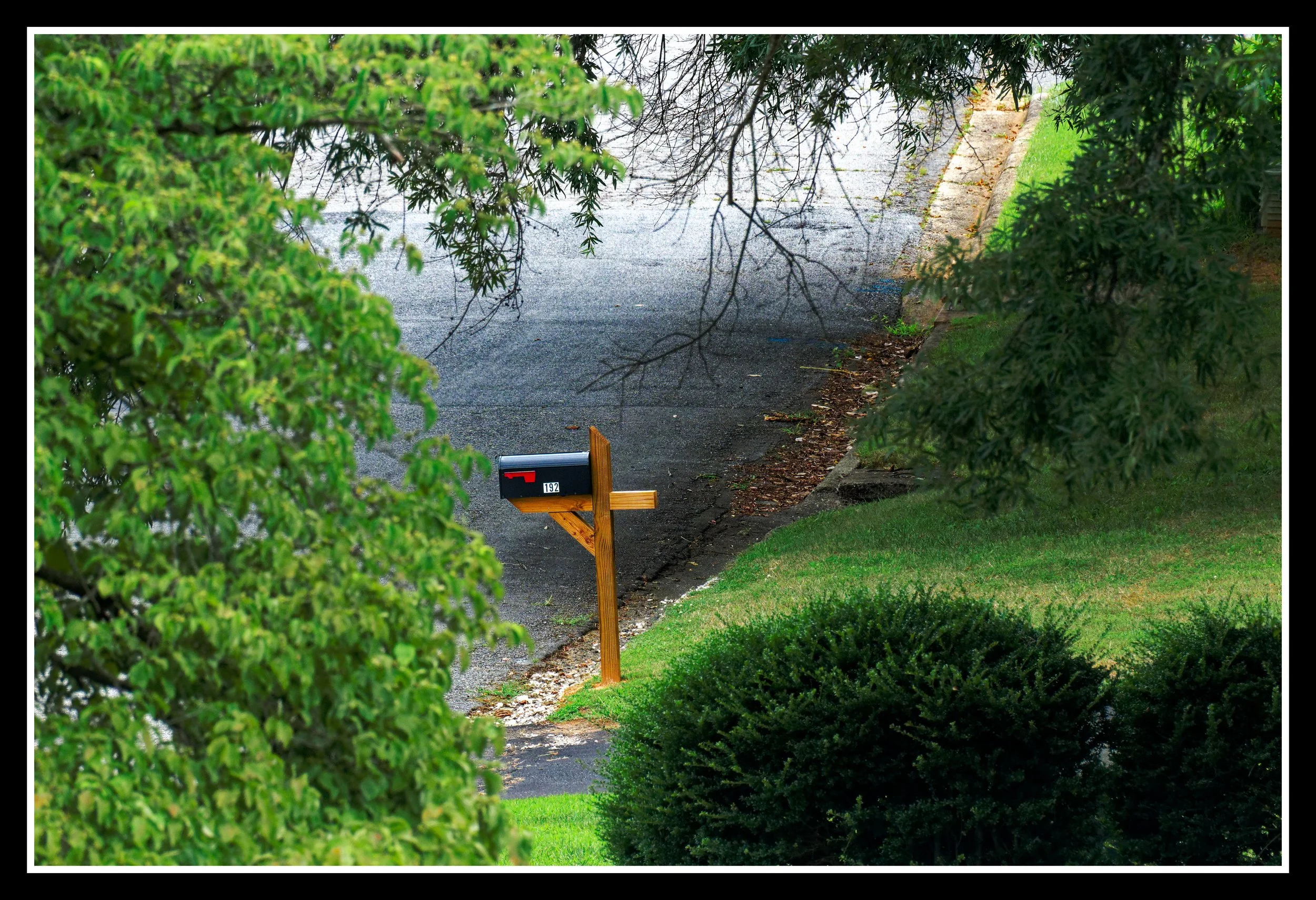 DSC02809_DxO.jpg