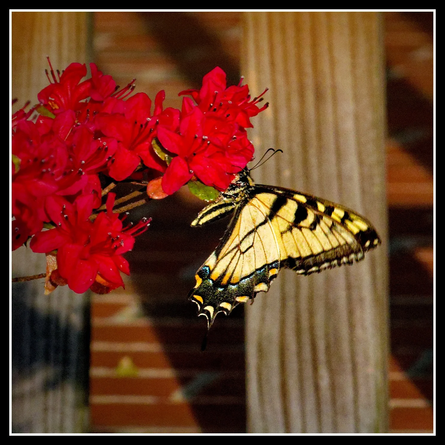 DSC02481_DxO.jpg