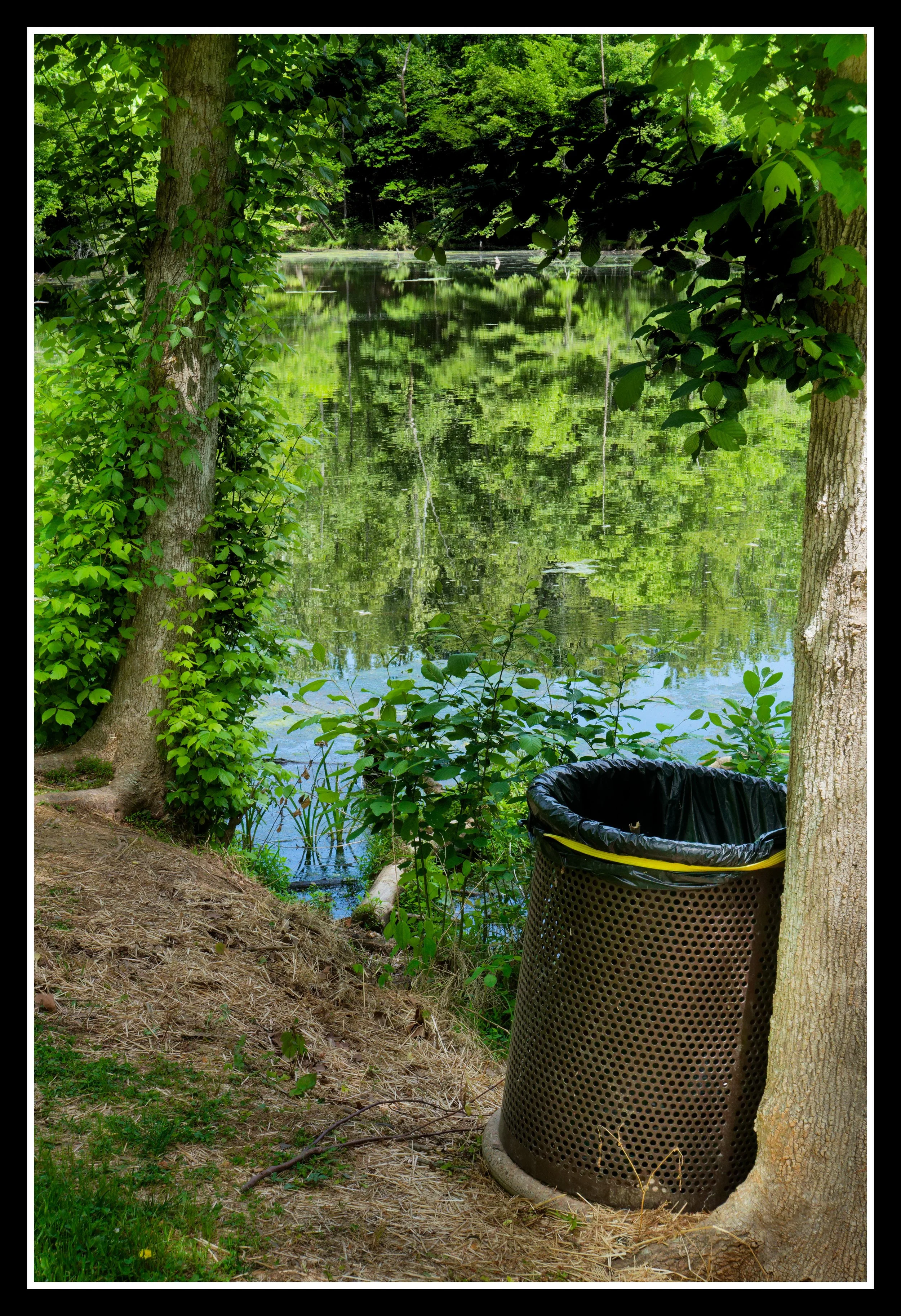L1010763_DxO.jpg