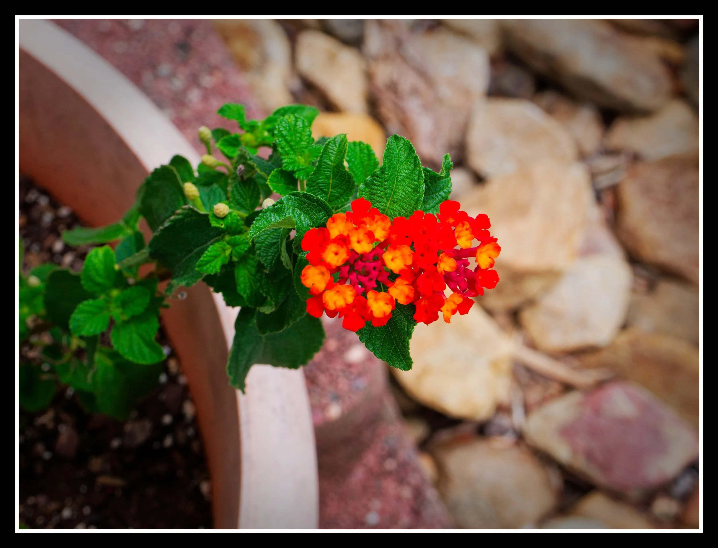 L1010958_DxO.jpg