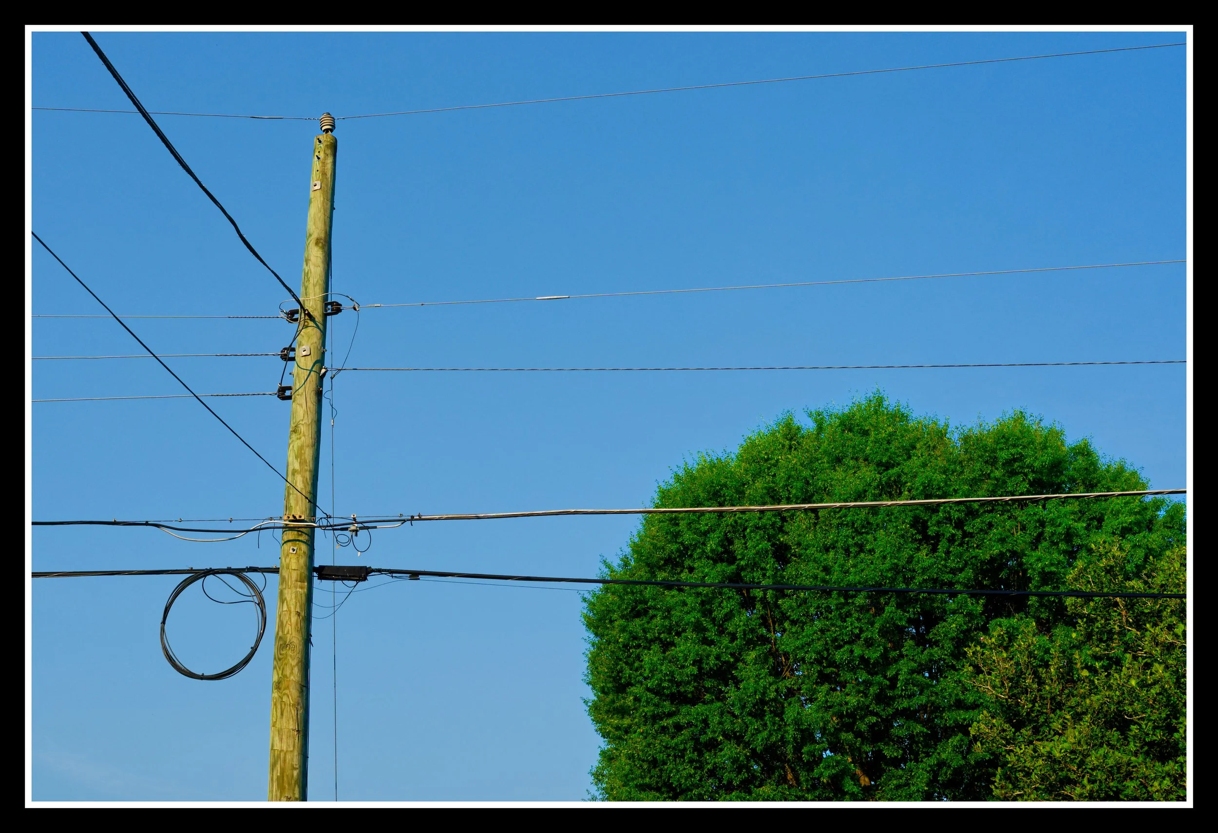 DSC_1445_DxO.jpg