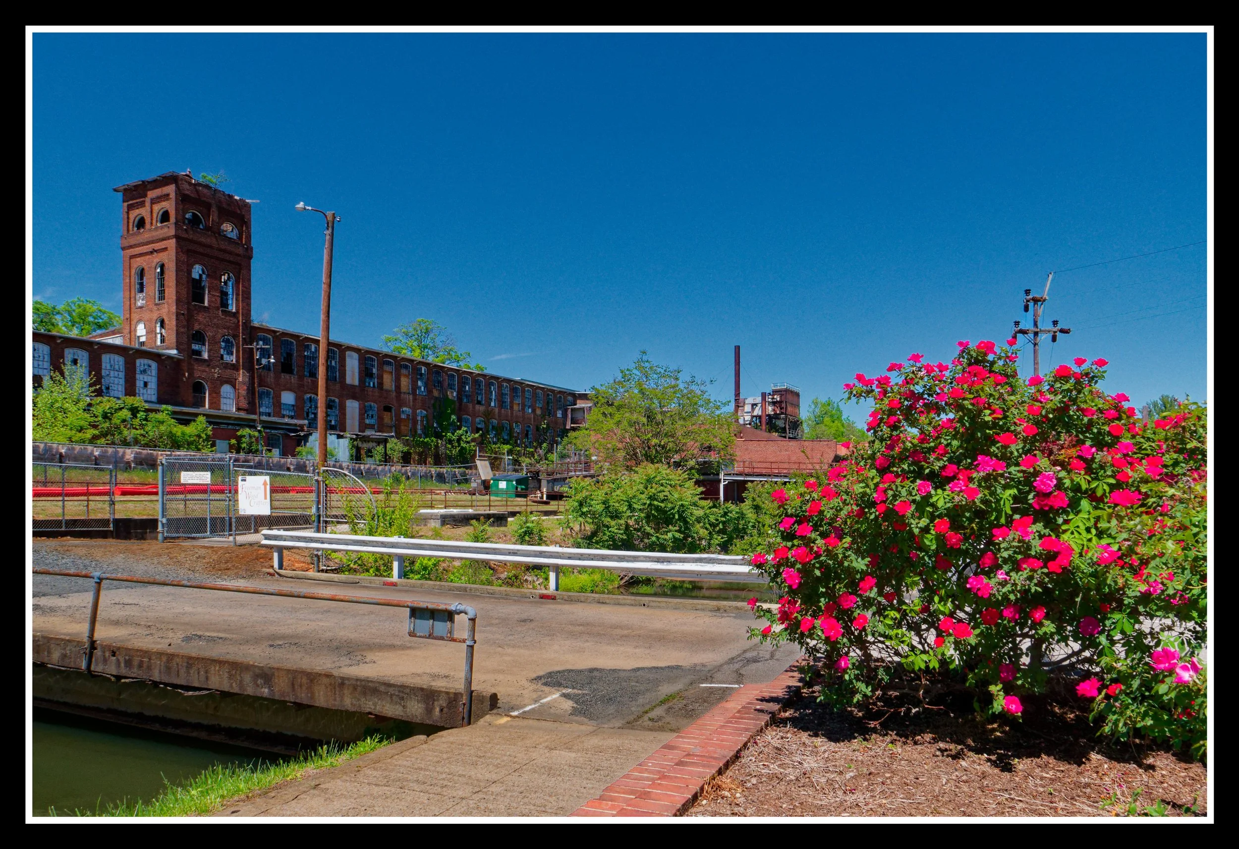 L1010728_DxO.jpg