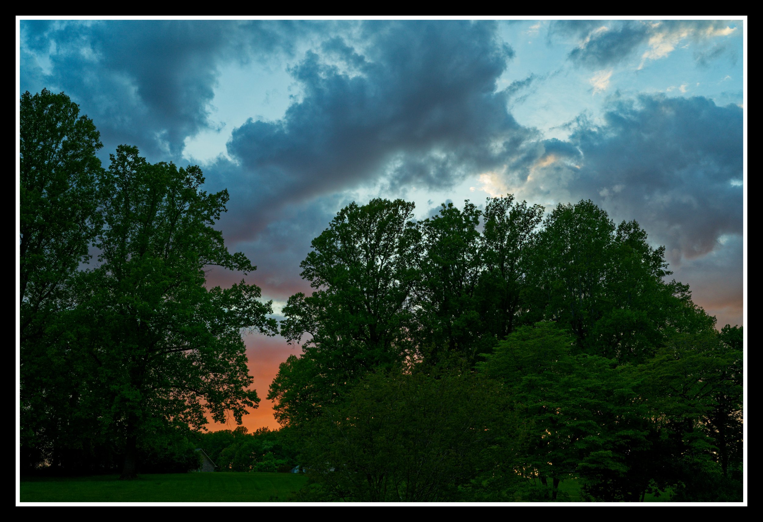 DSC_1254_DxO.jpg