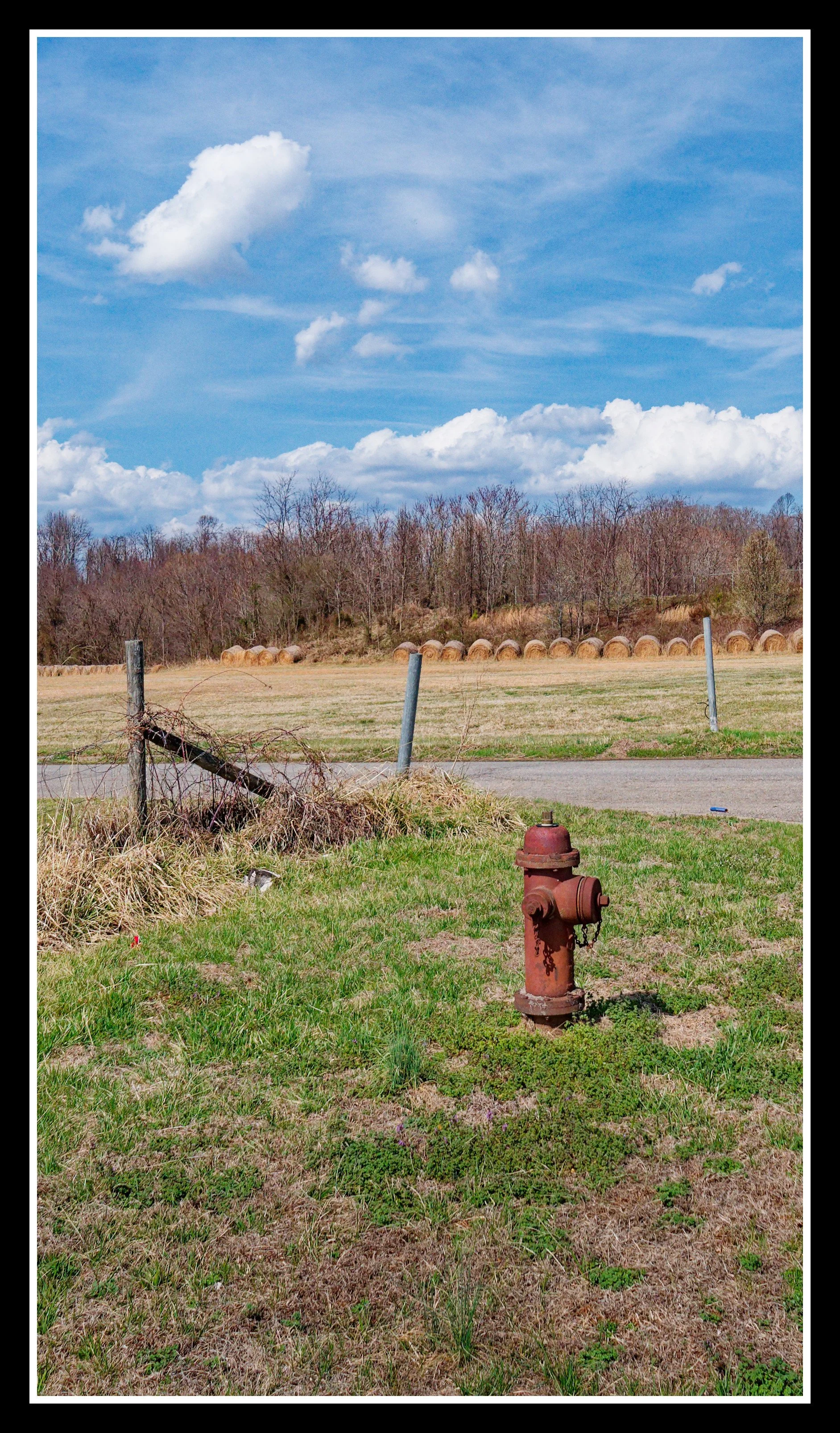 L1010503_DxO.jpg