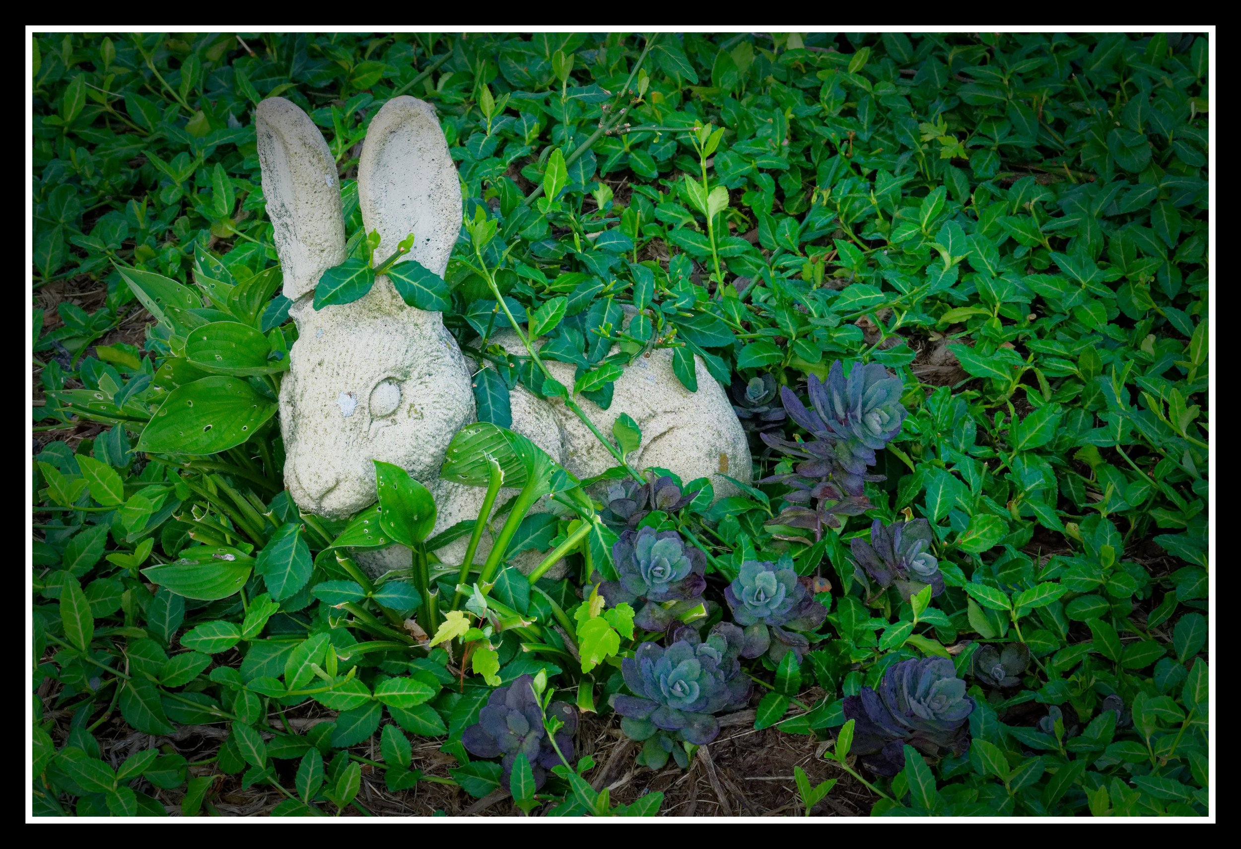 DSC02659_DxO.jpg