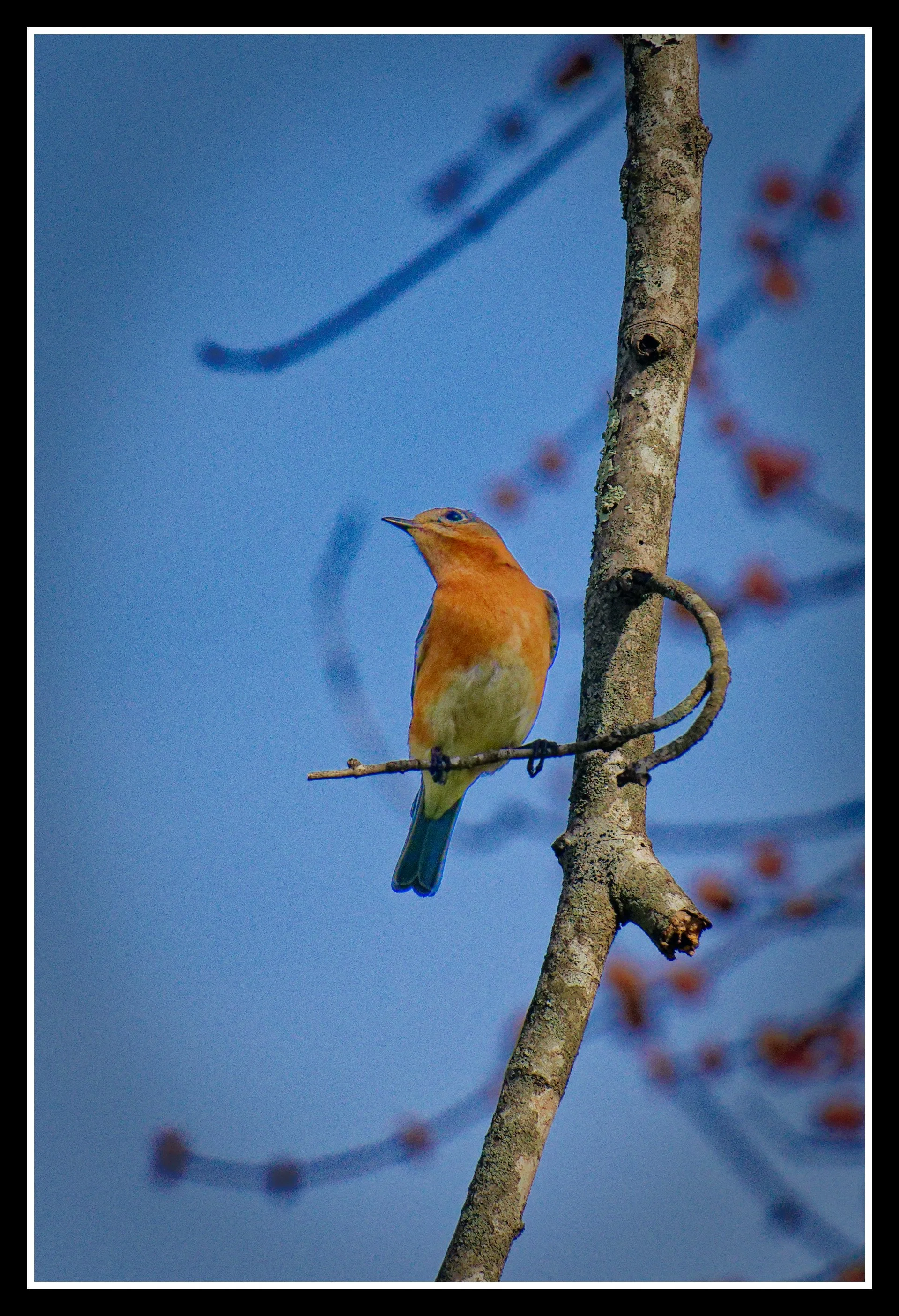 DSC02408_DxO.jpg