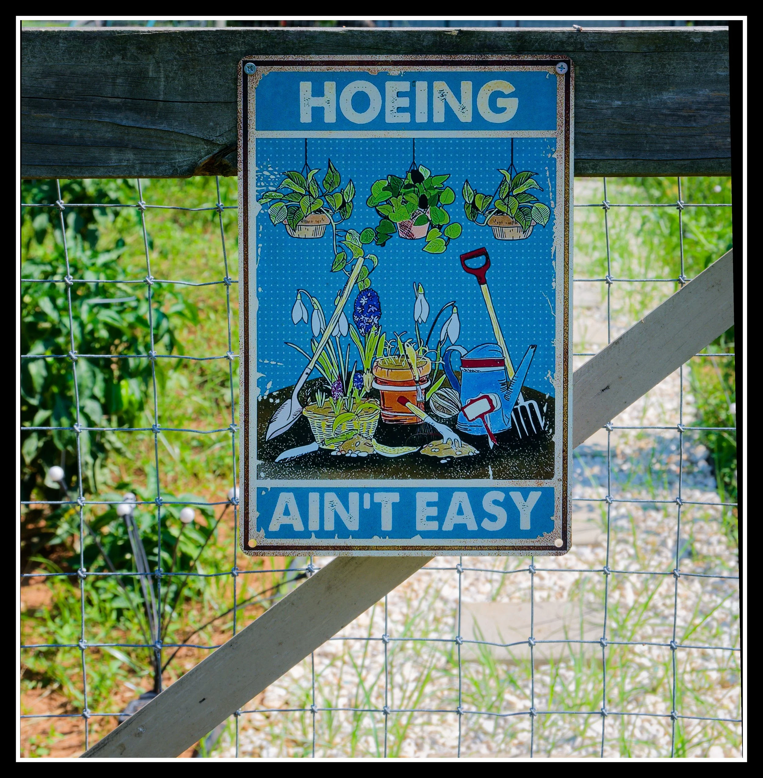 DSC_0077_DxO.jpg