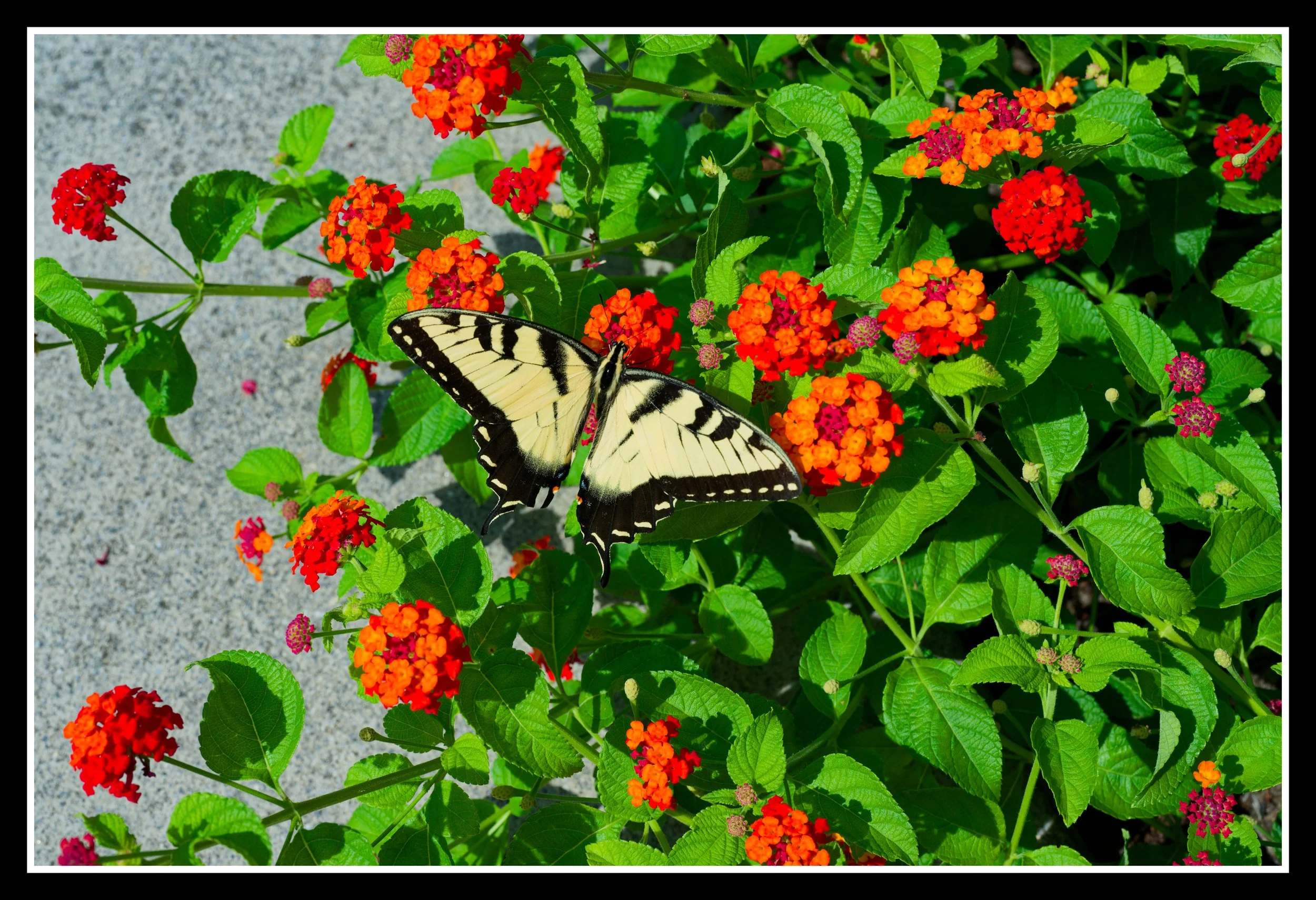 DSC_1499_DxO.jpg