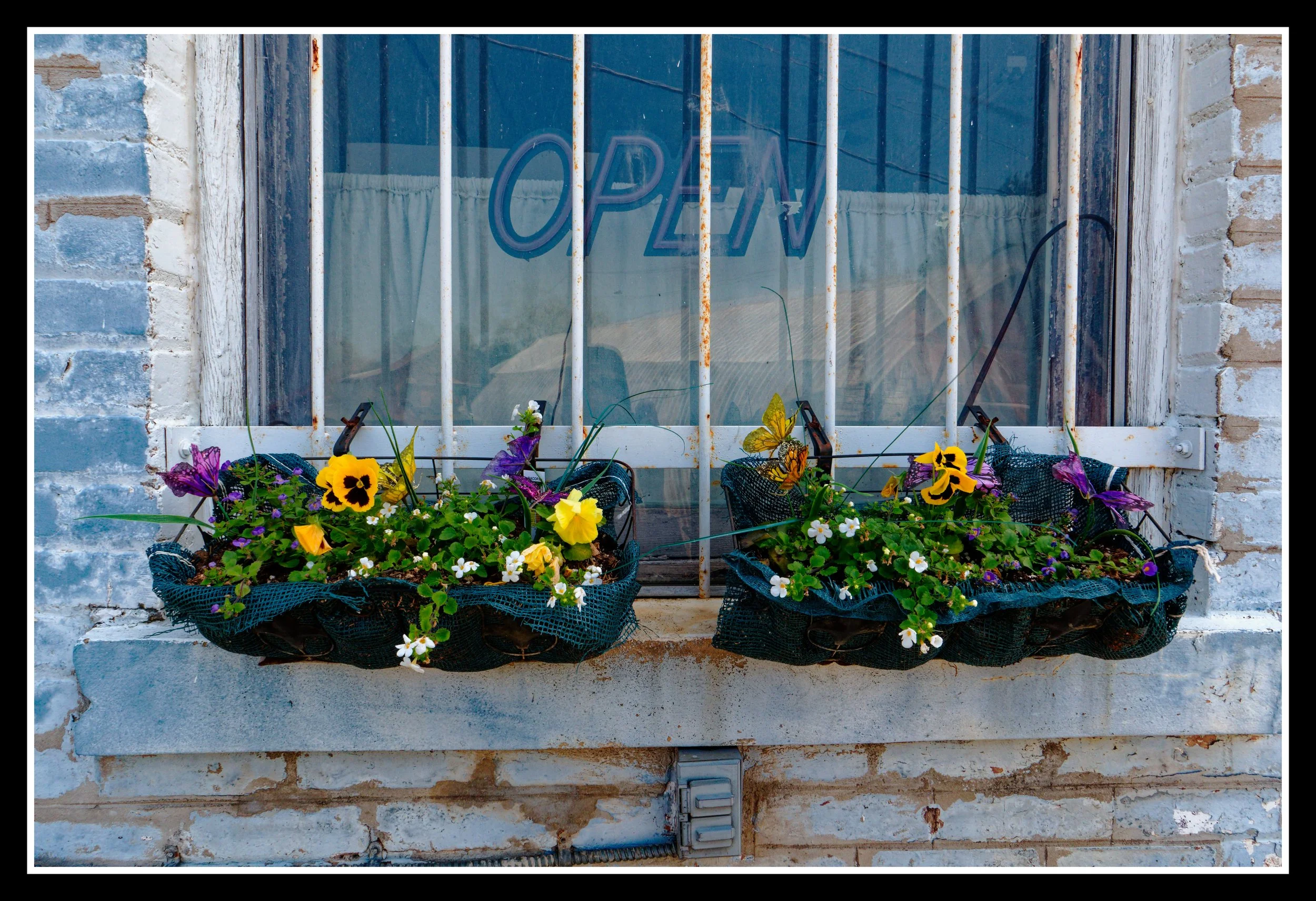 L1010618_DxO.jpg