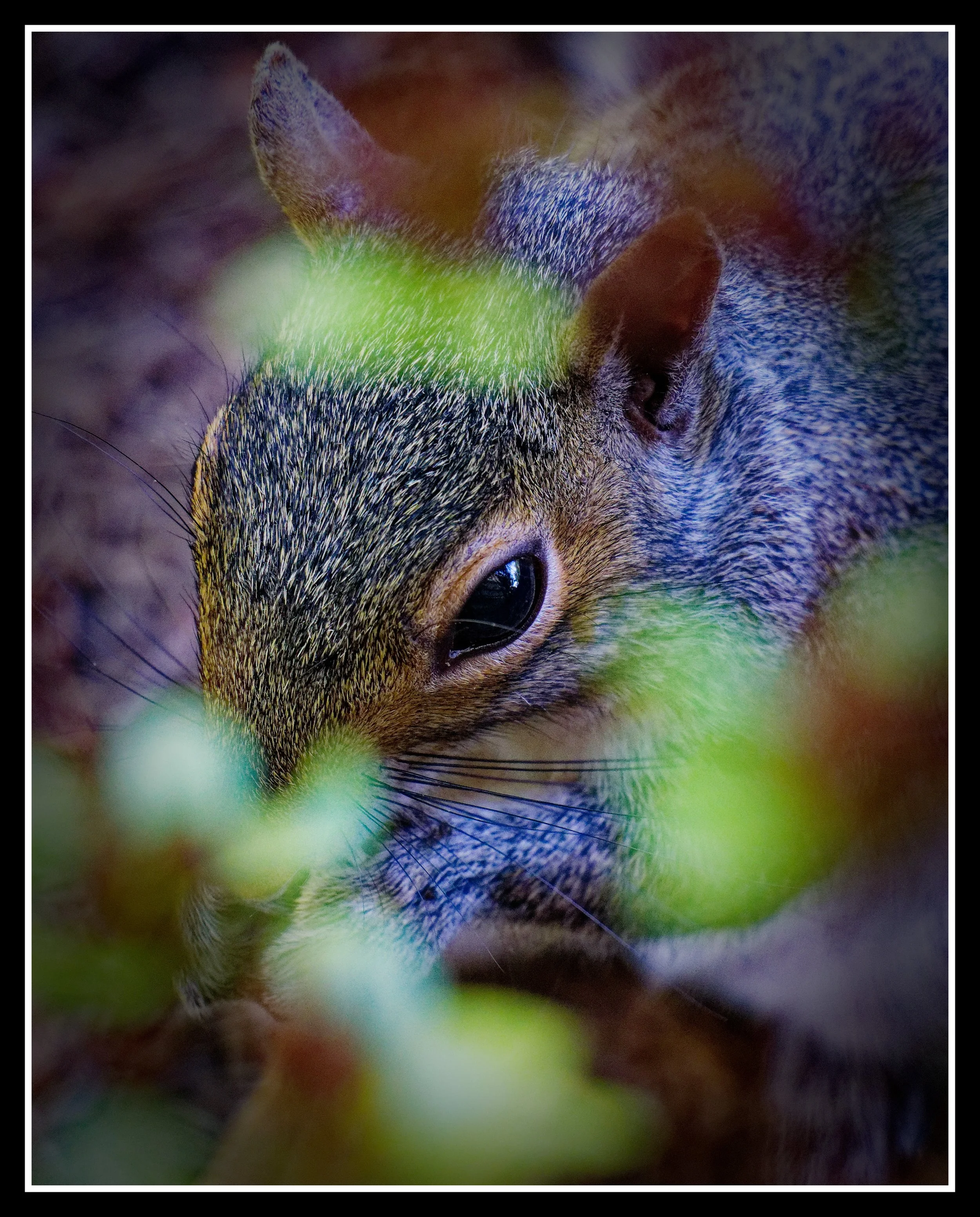 DSC02639_DxO.jpg