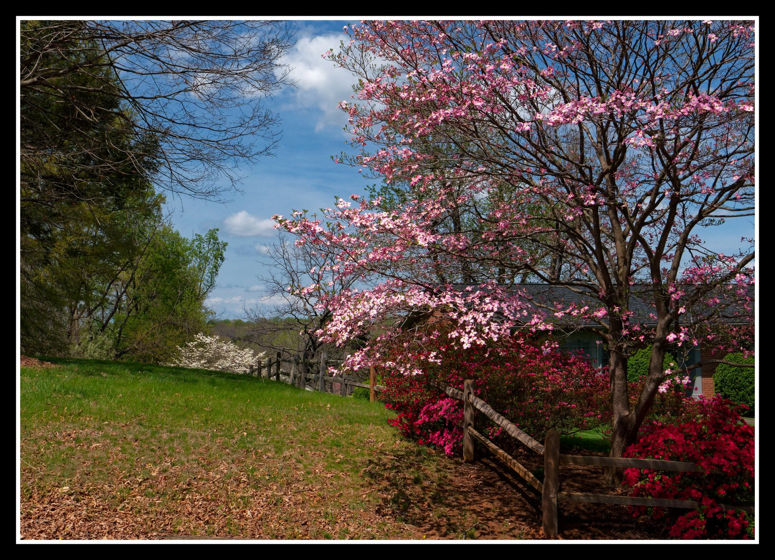 L1010609_DxO.jpg