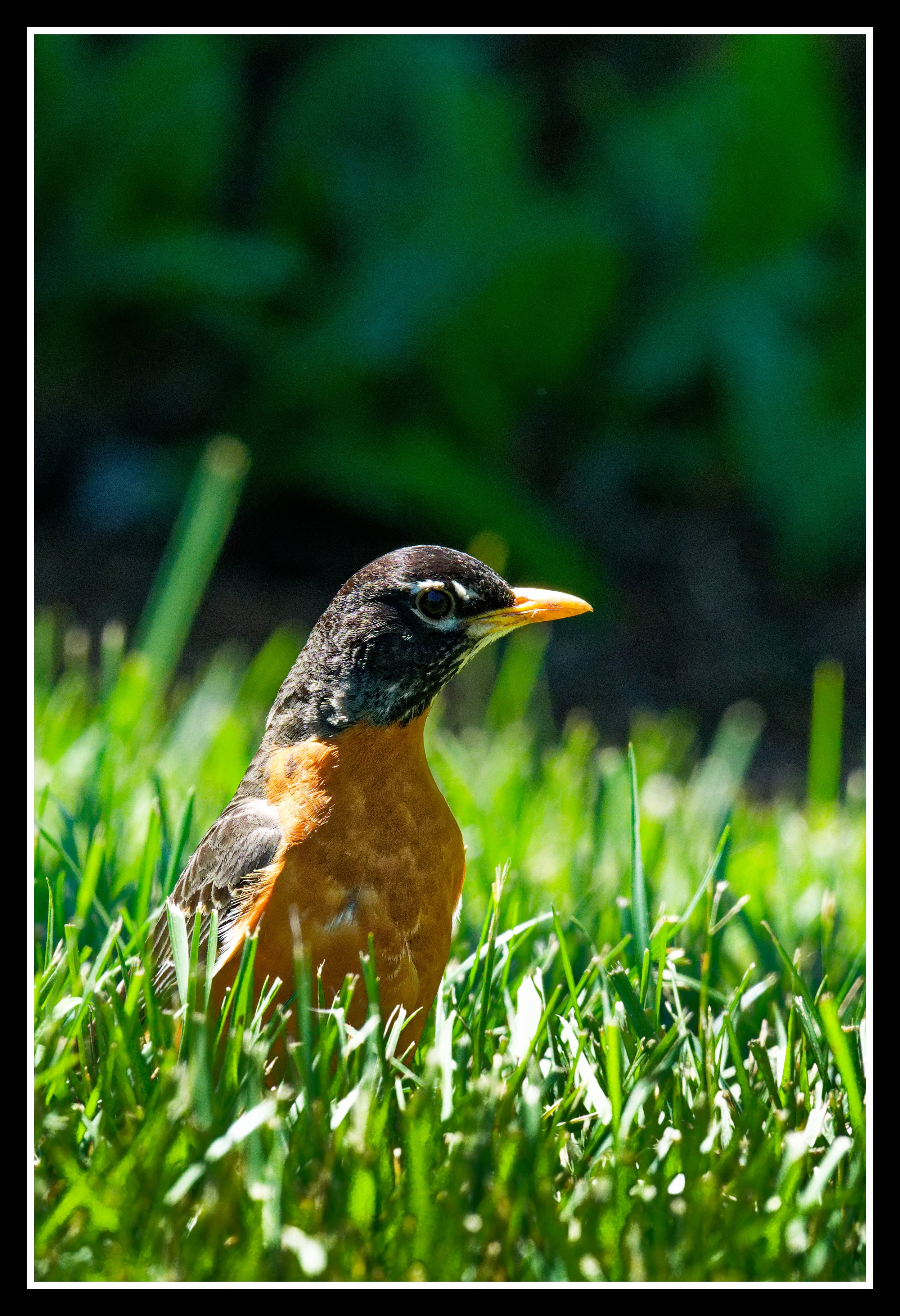 DSC02526_DxO.jpg